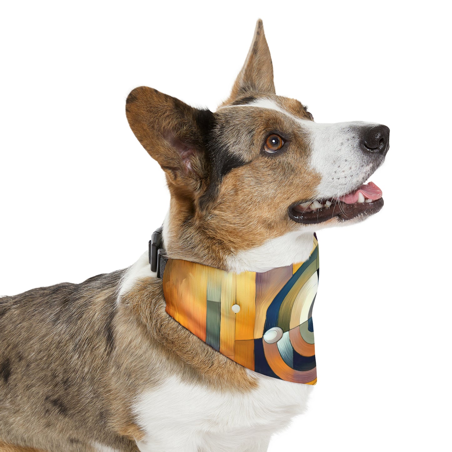 Oneness Through Tachism Pet Bandana Collar
