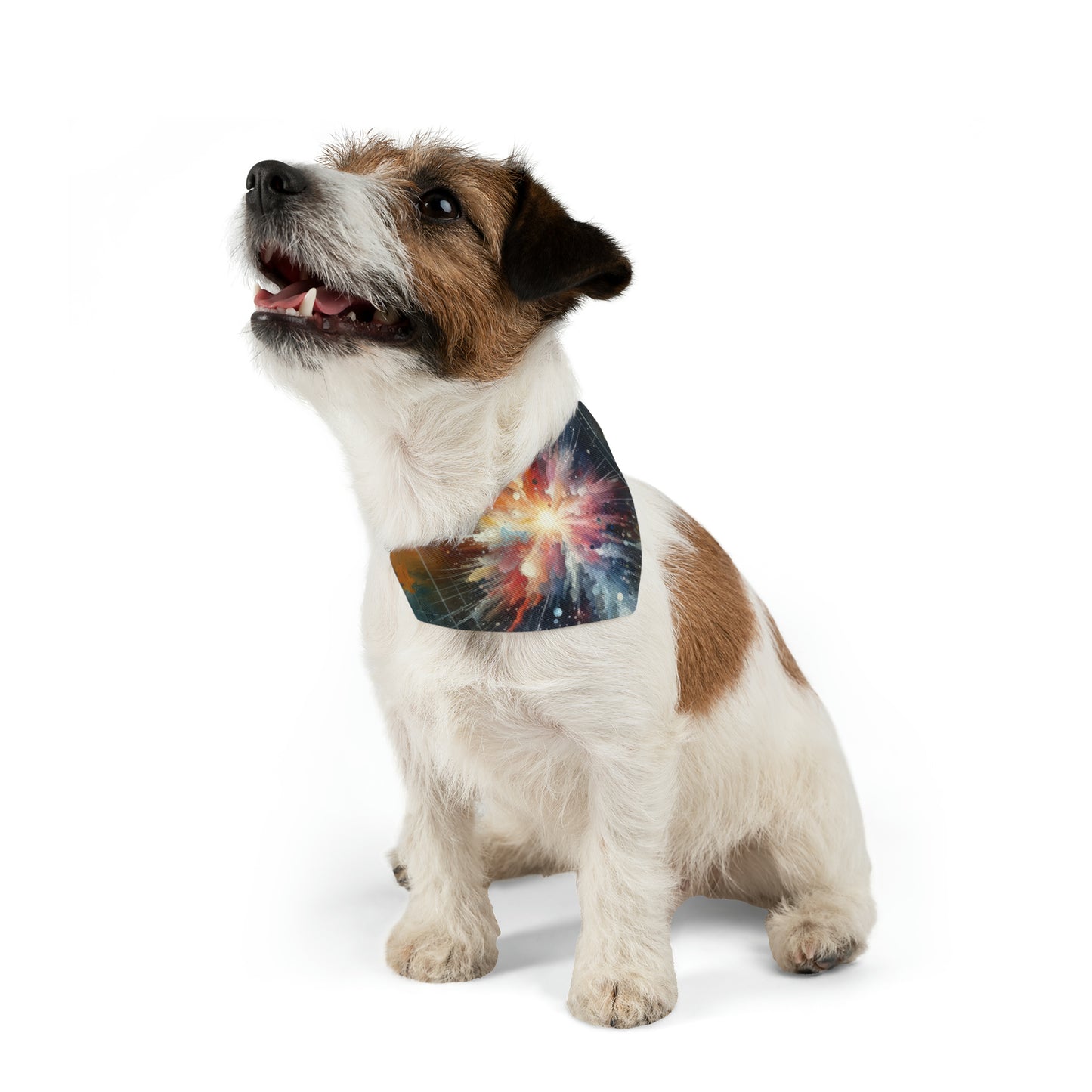 Galactic Mind Clarity Pet Bandana Collar