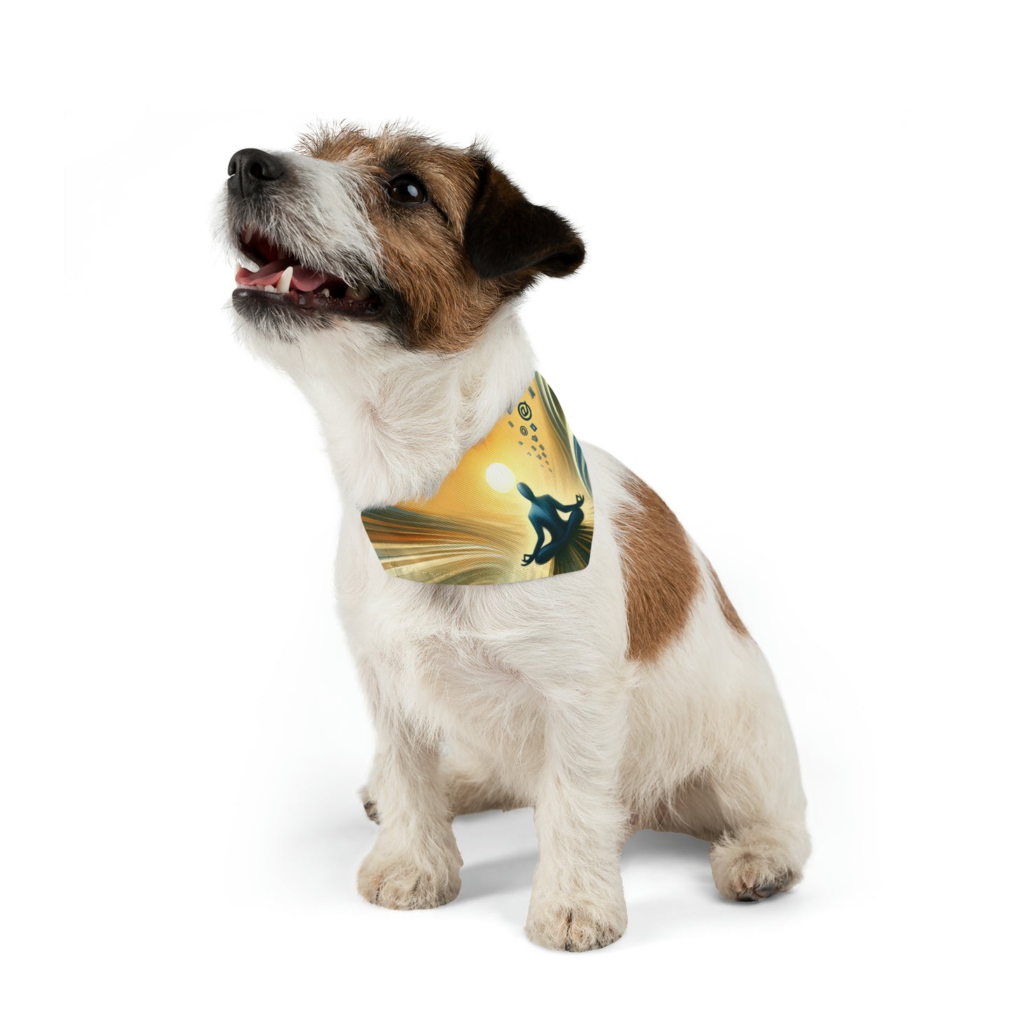 Meditative Commute Flow Pet Bandana Collar