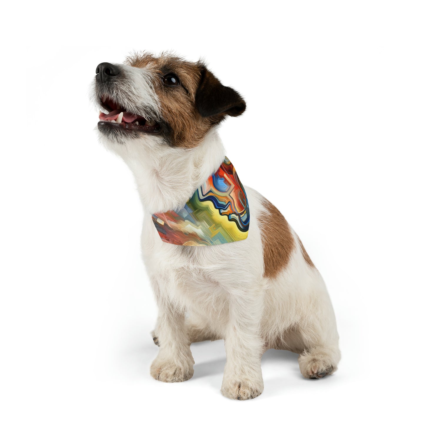 Emotional Perception Abstract Pet Bandana Collar