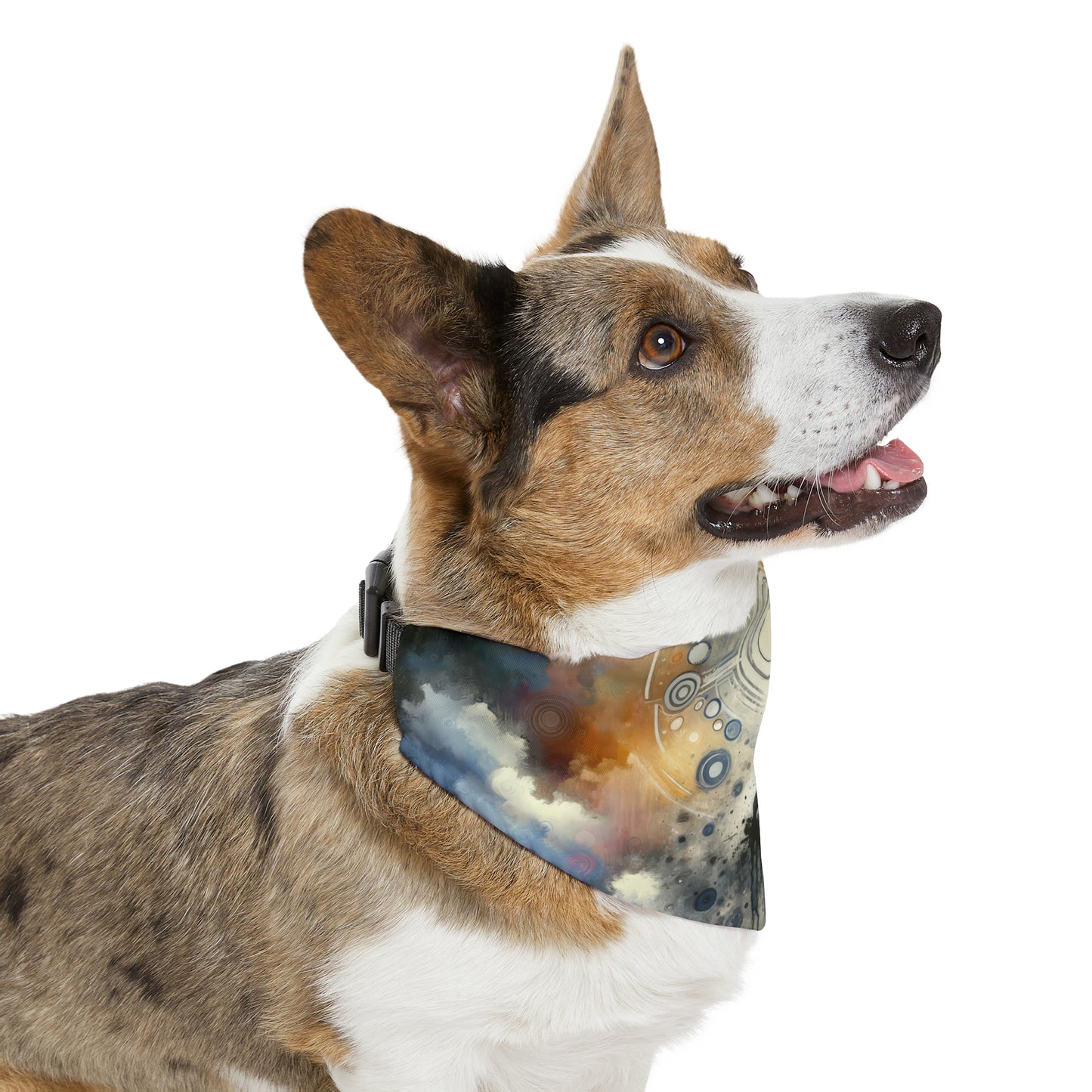 Mindful Transformation Profundity Pet Bandana Collar