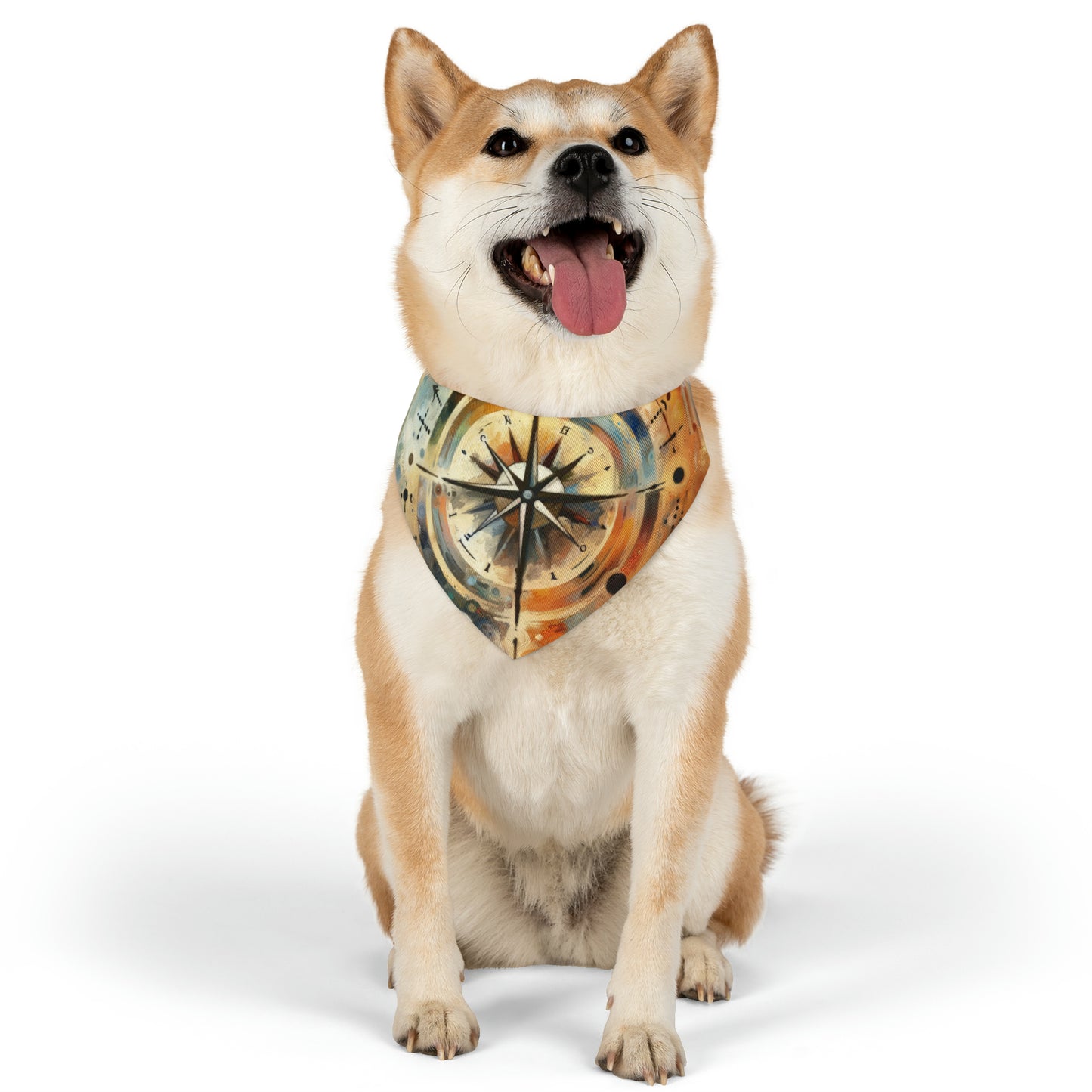 Guidance Abstract Compass Pet Bandana Collar
