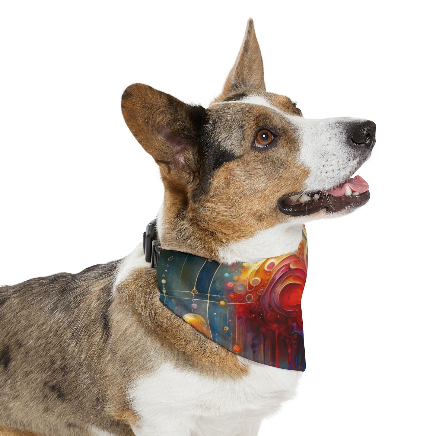 Unified Heart Reflections Pet Bandana Collar