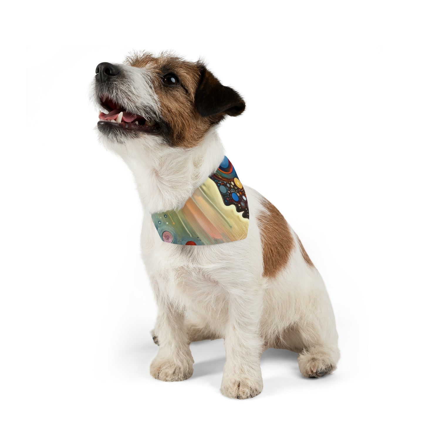 Echoed Intrinsic Universality Pet Bandana Collar