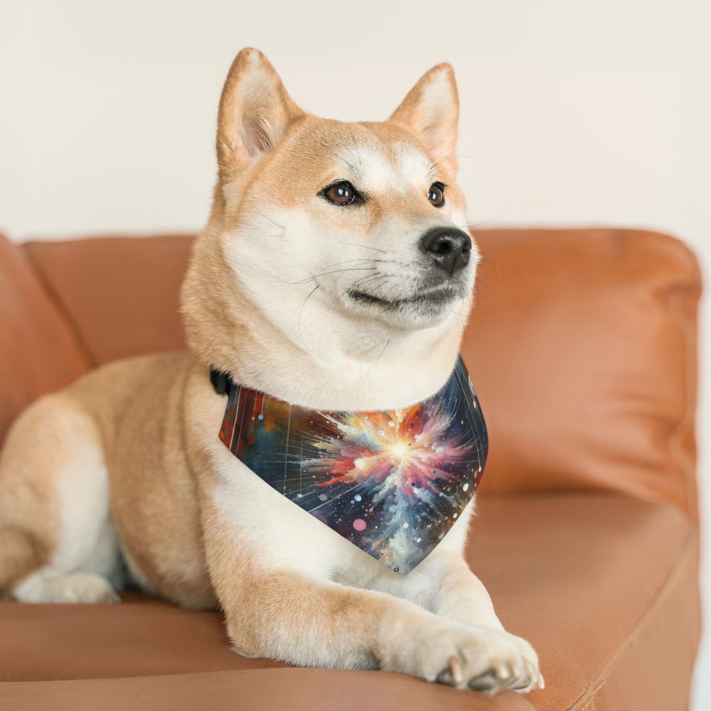 Galactic Mind Clarity Pet Bandana Collar