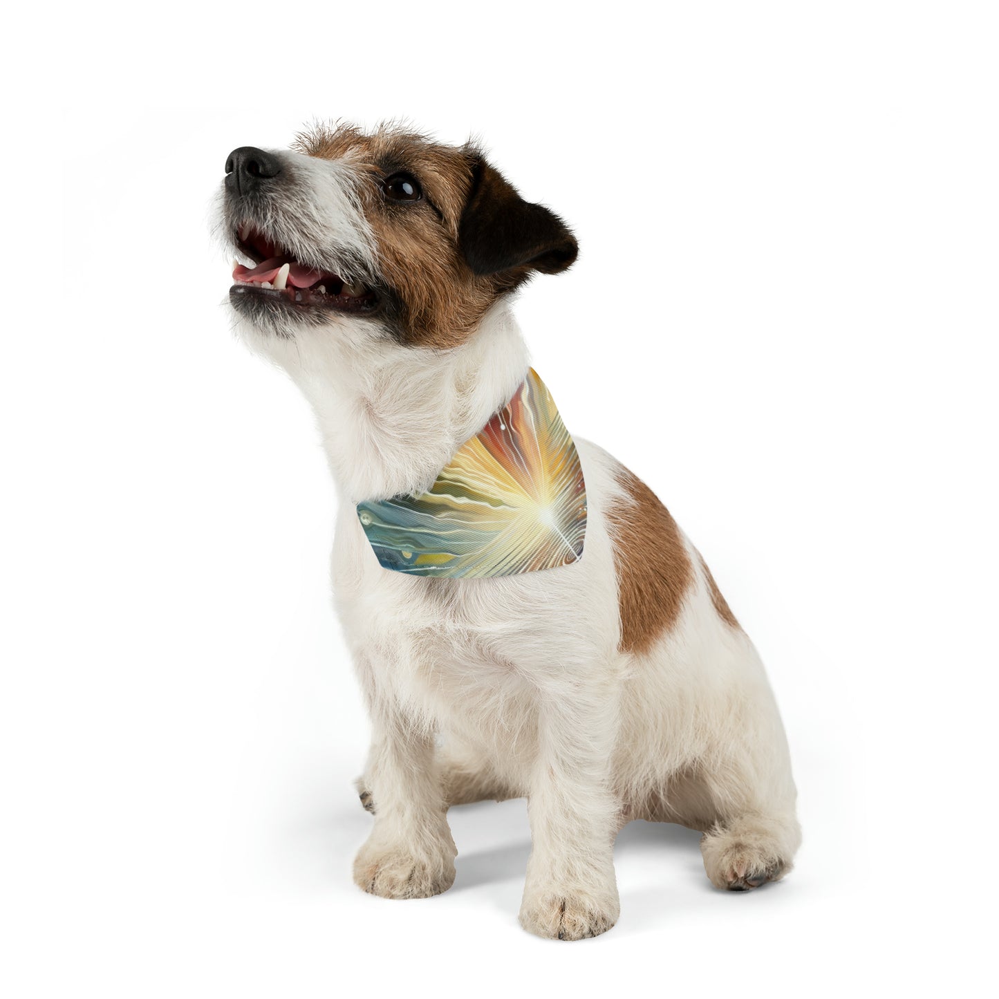 Rippling Community Dynamics Pet Bandana Collar