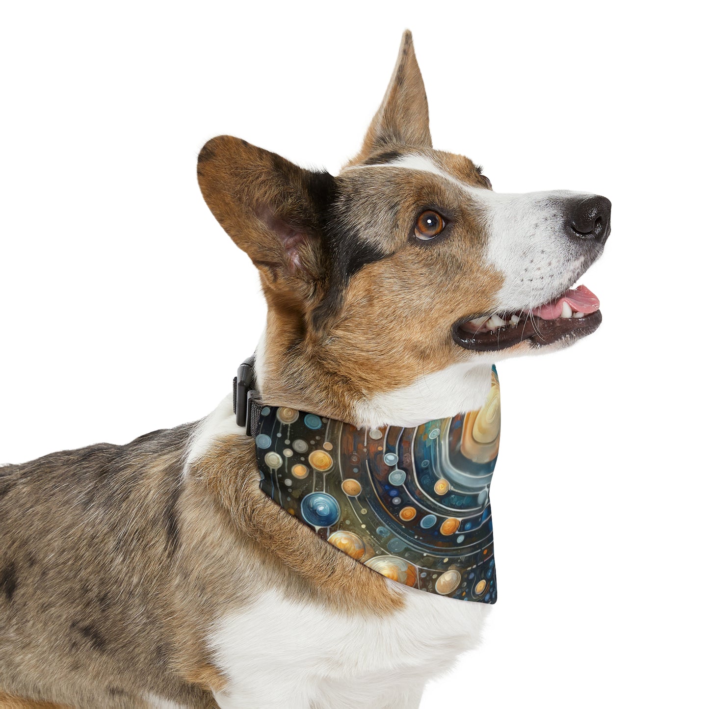 Dialogue Nuances Attunement Pet Bandana Collar