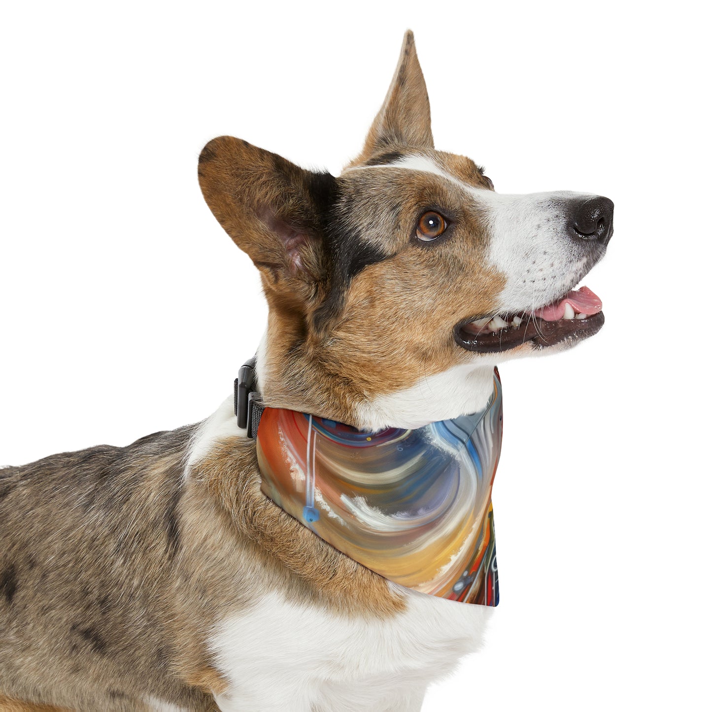 Interconnectivity Tachism Dynamics Pet Bandana Collar