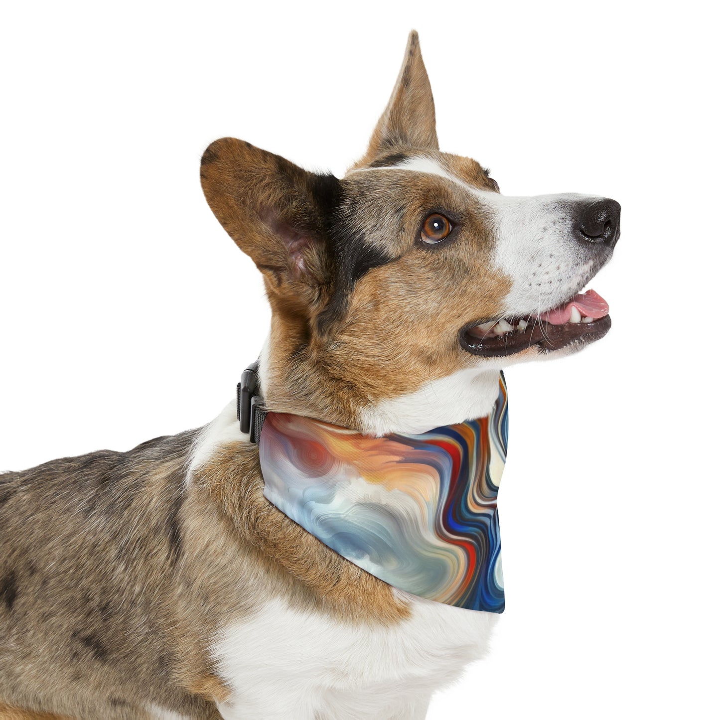 Convergent Abstract Unity Pet Bandana Collar