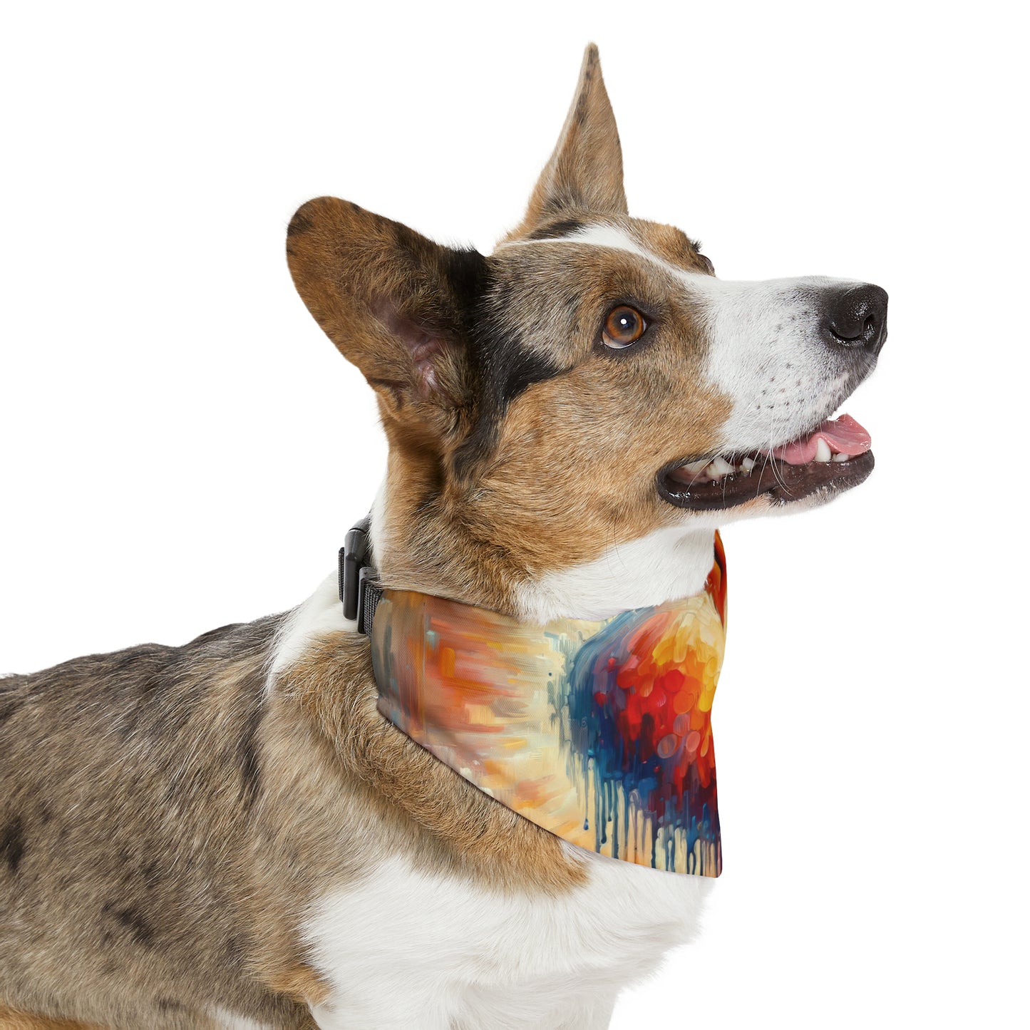 Vital Compassionate Beat Pet Bandana Collar