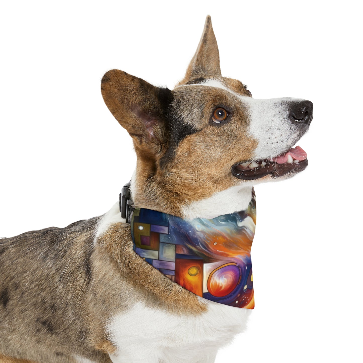 Cosmic Tachism Alchemy Pet Bandana Collar