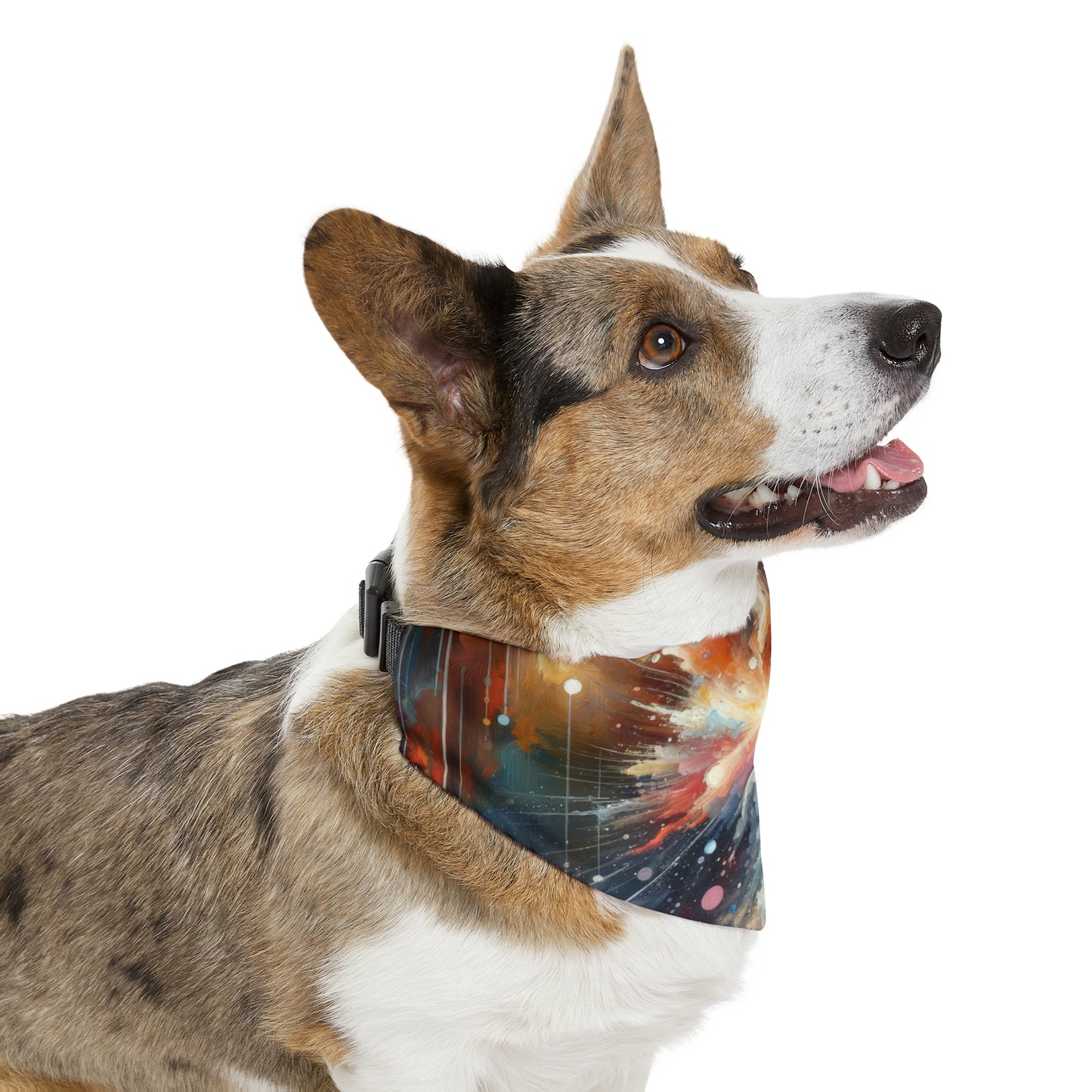 Galactic Mind Clarity Pet Bandana Collar