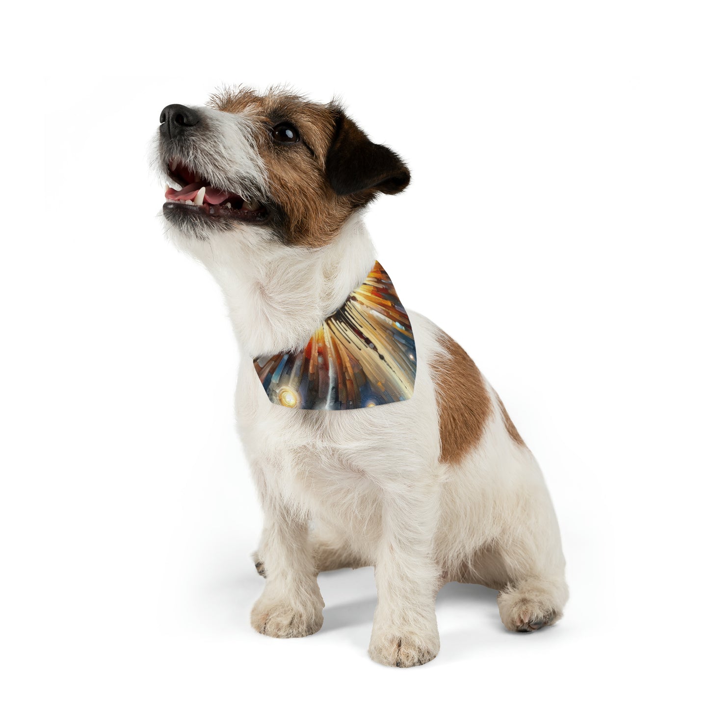 Wisdom Compass Journey Pet Bandana Collar