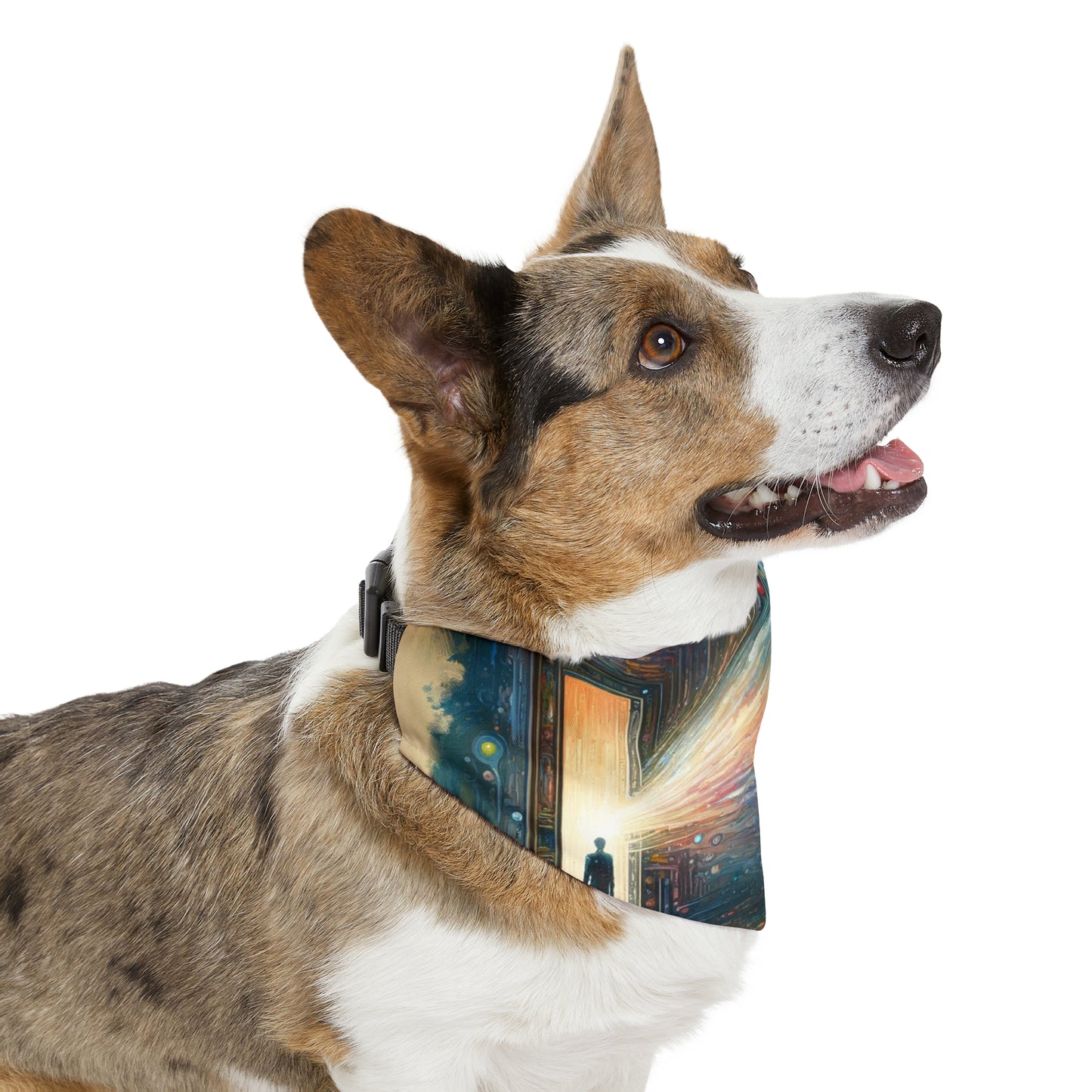 Mirror Wholeness Tachism Pet Bandana Collar