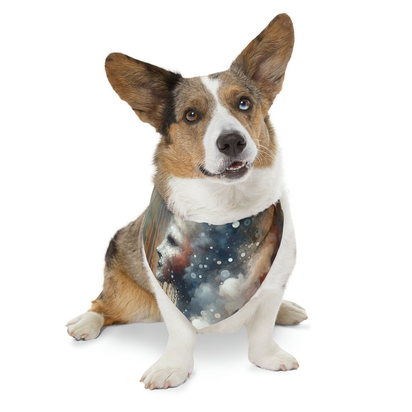 Ephemeral Hour Residue Pet Bandana Collar