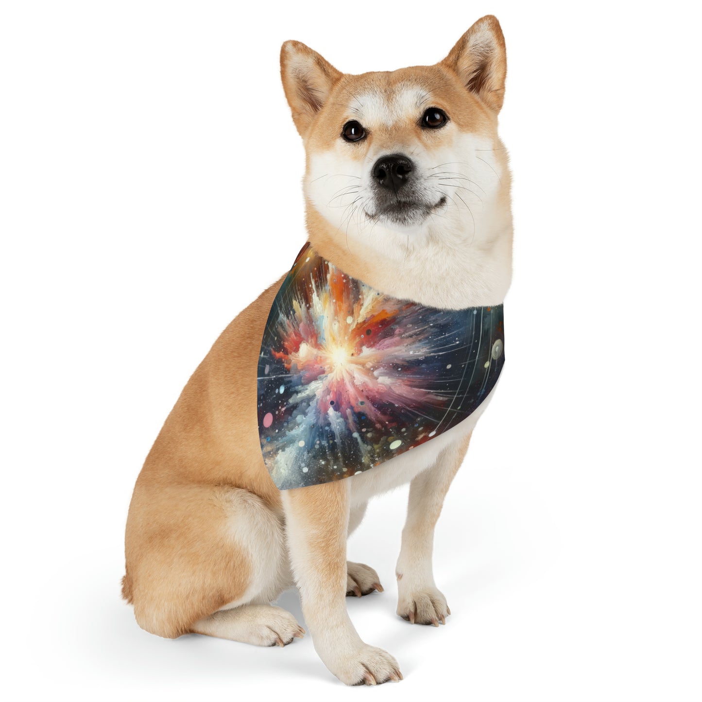 Galactic Mind Clarity Pet Bandana Collar