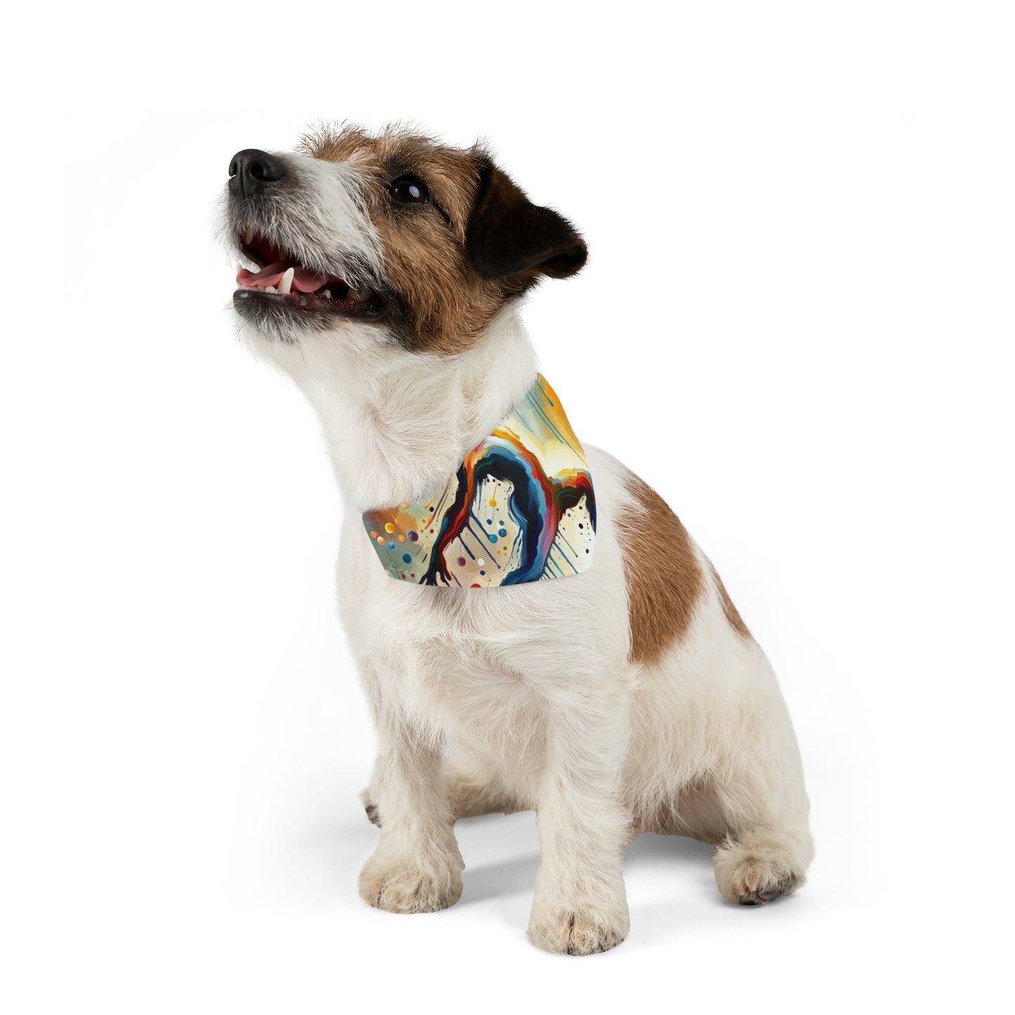 Expressive Dance Reflection Pet Bandana Collar