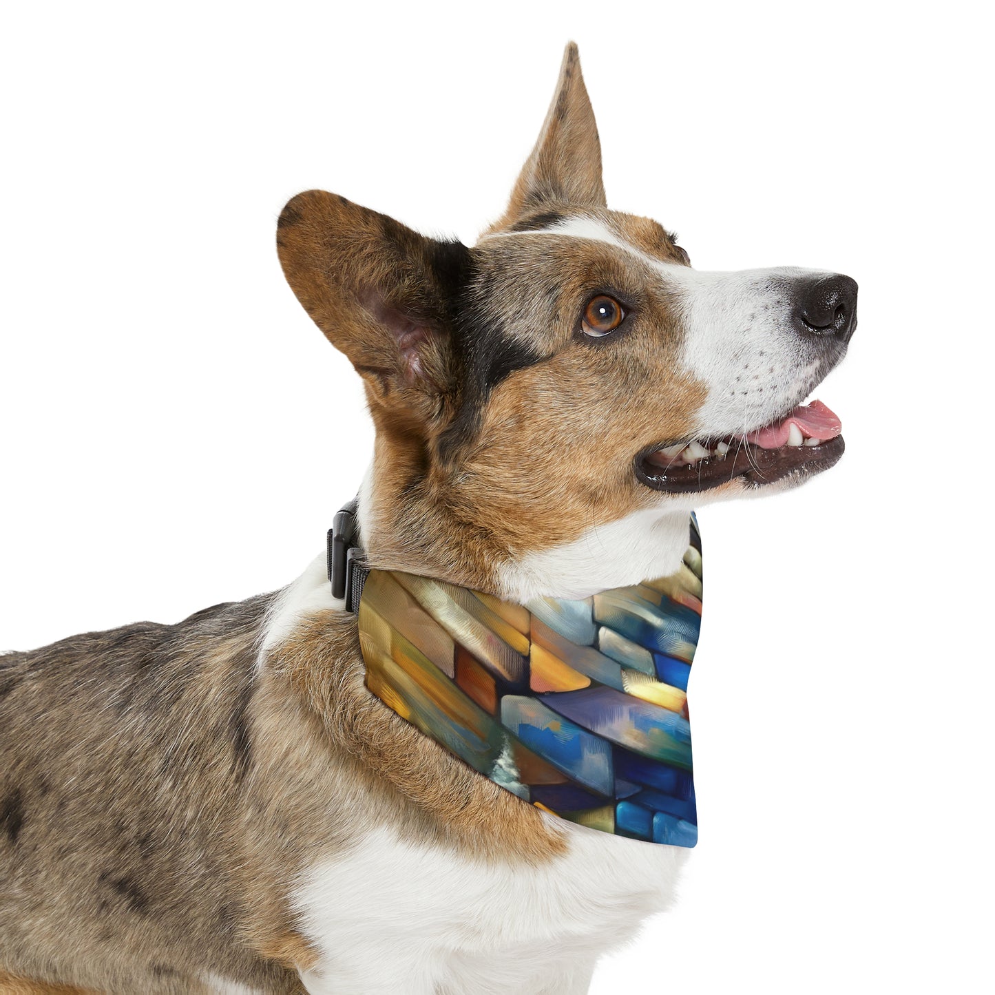 Anchored Tenets Abstraction Pet Bandana Collar