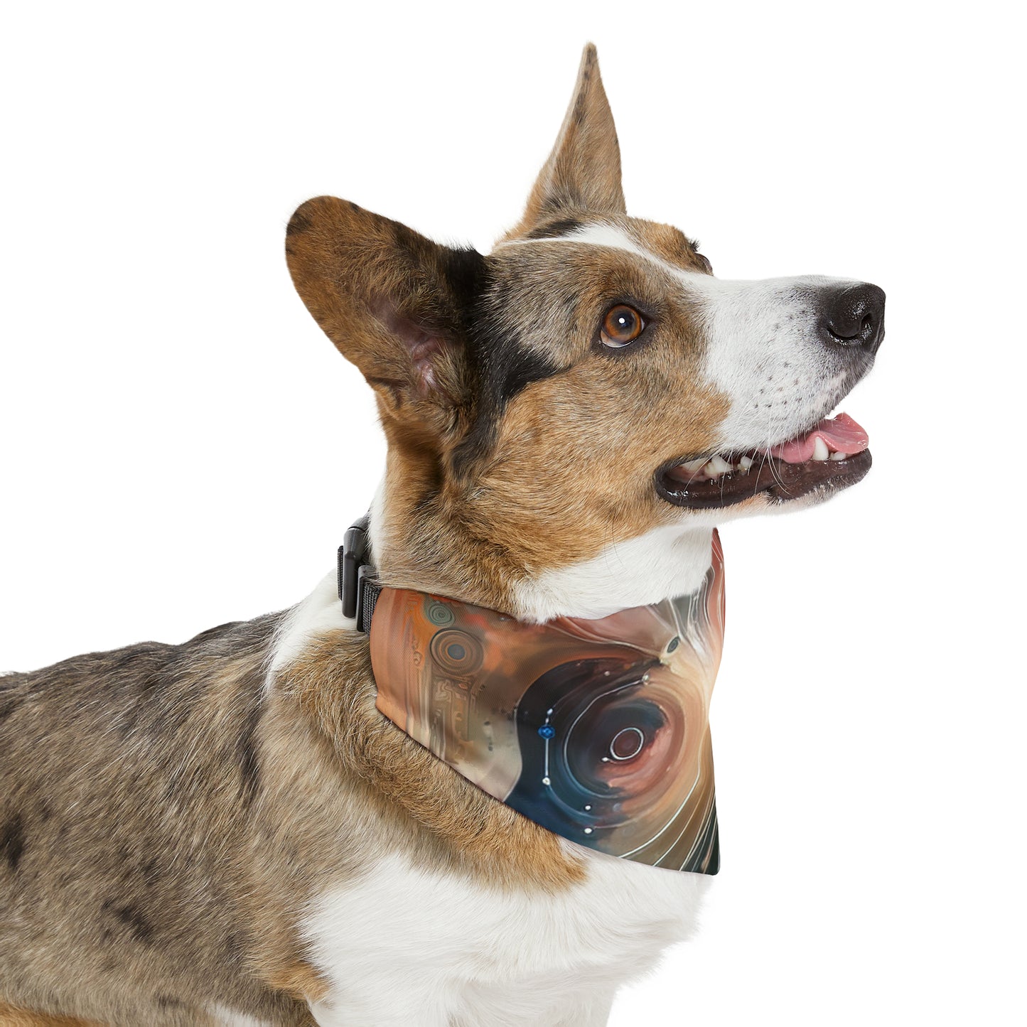 Empathetic Exchange Essence Pet Bandana Collar