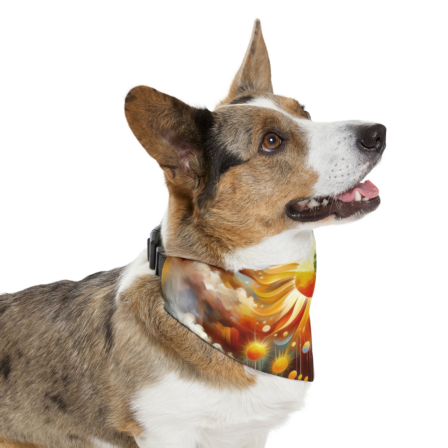 Sunshine Harvest Journey Pet Bandana Collar