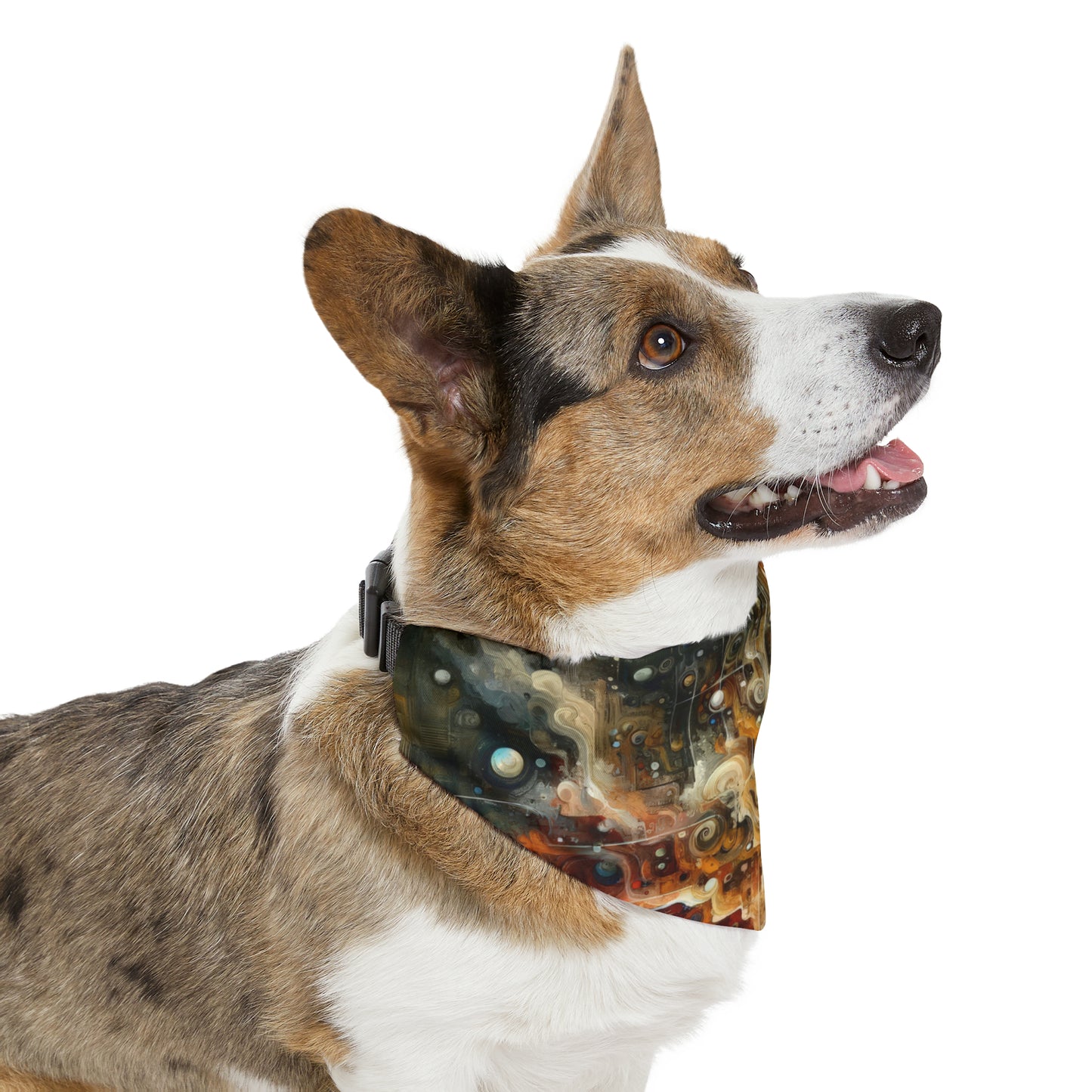 Integral Stewardship Abstract Pet Bandana Collar