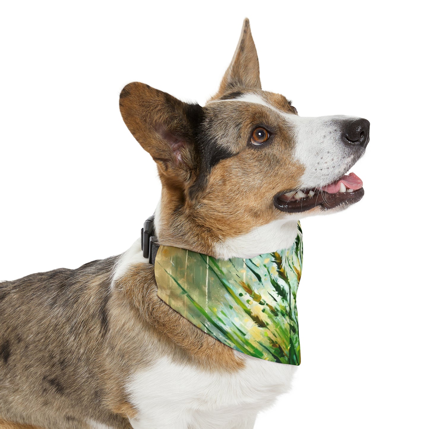 Grass Testament Change Pet Bandana Collar