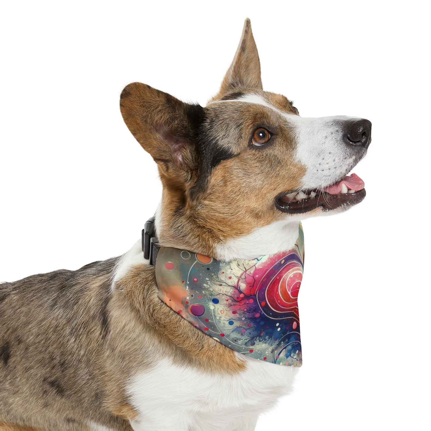 Emotional Physics Heart Pet Bandana Collar