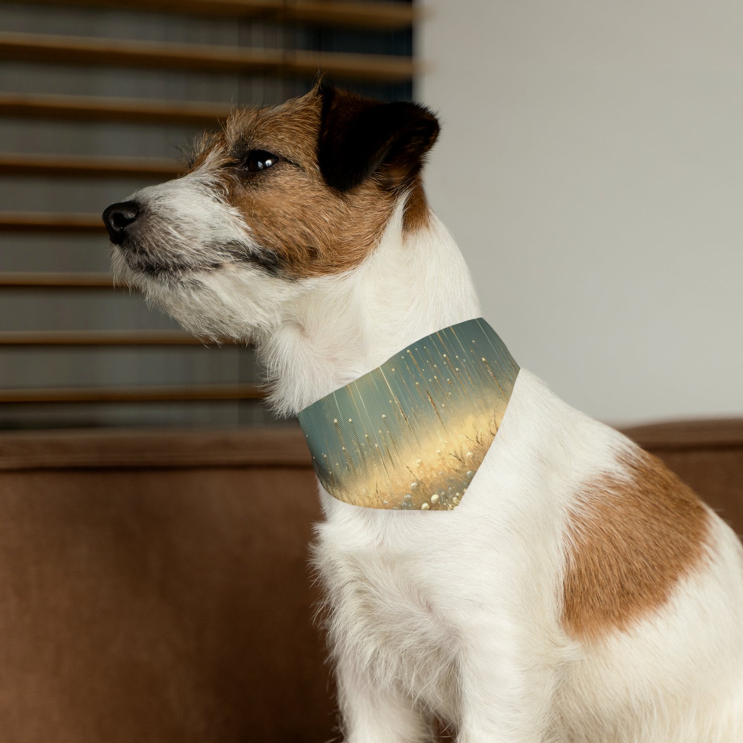Observant Delicacy Heart Pet Bandana Collar