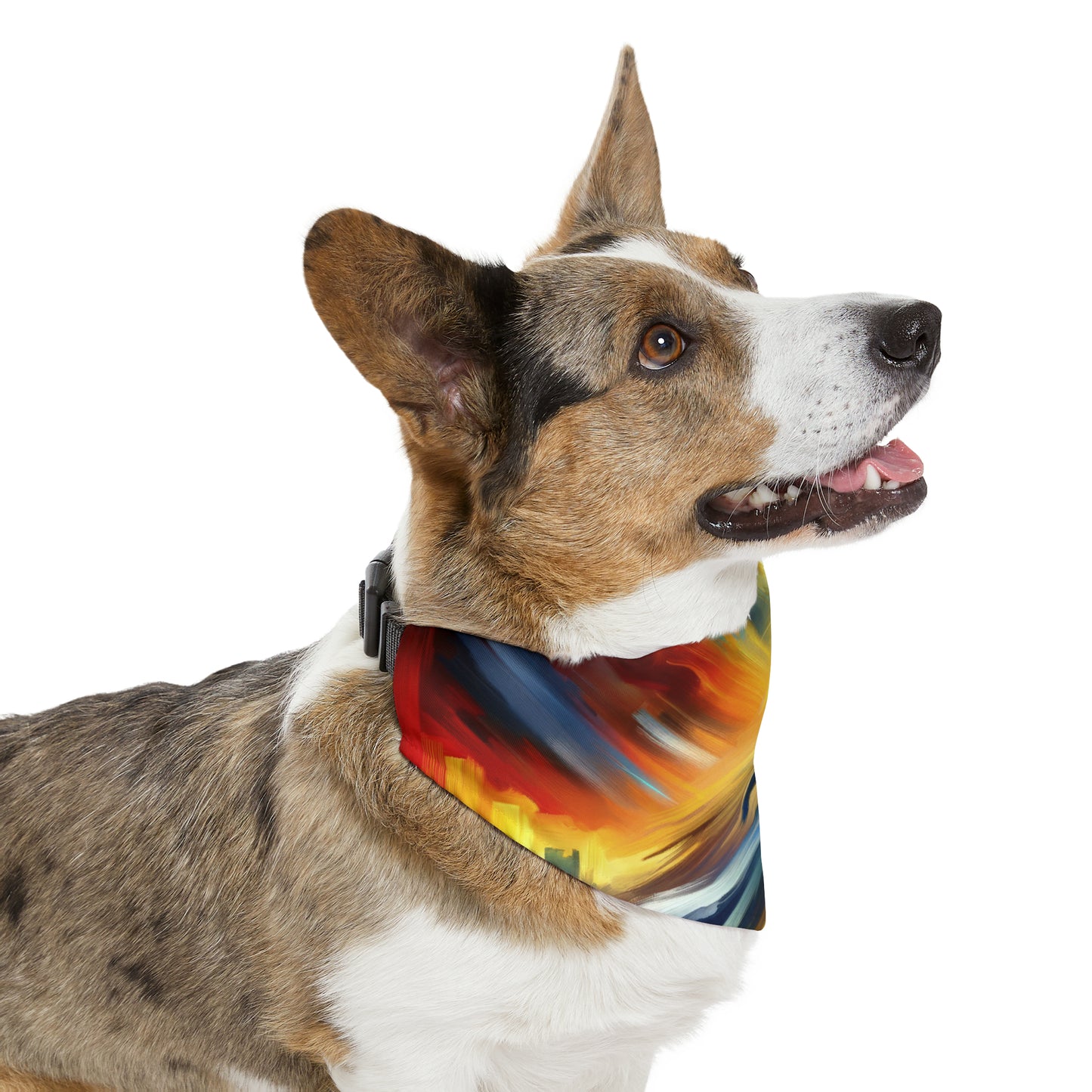 Boundless Dynamic Allegiance Pet Bandana Collar