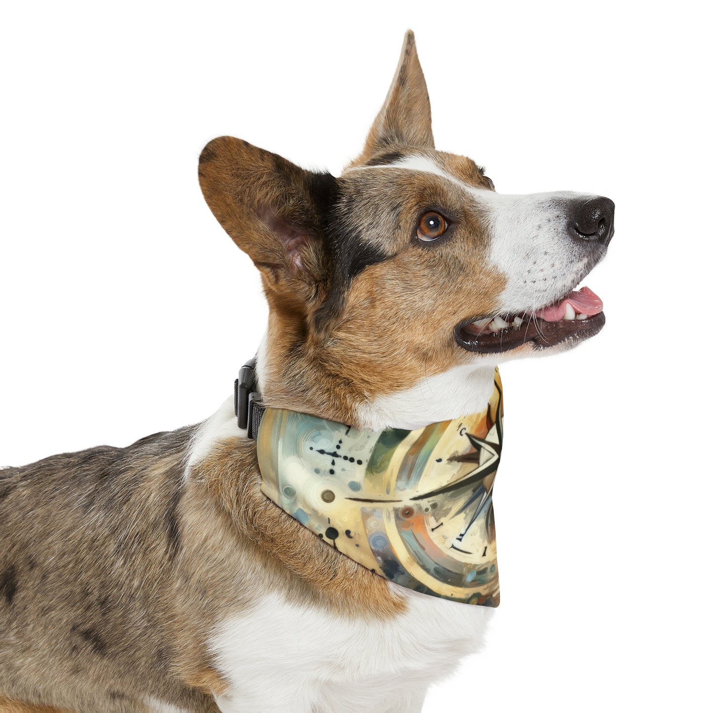 Guidance Abstract Compass Pet Bandana Collar