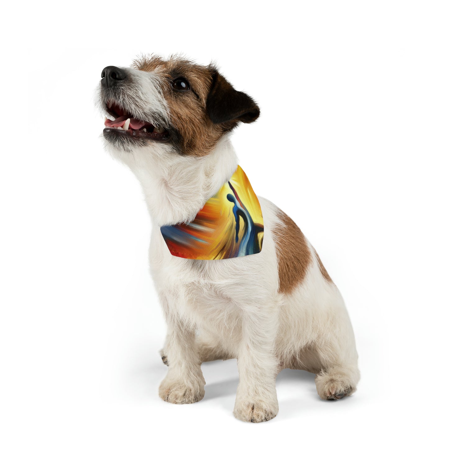 Boundless Dynamic Allegiance Pet Bandana Collar