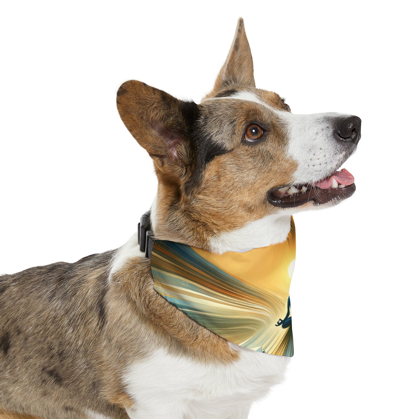 Meditative Commute Flow Pet Bandana Collar