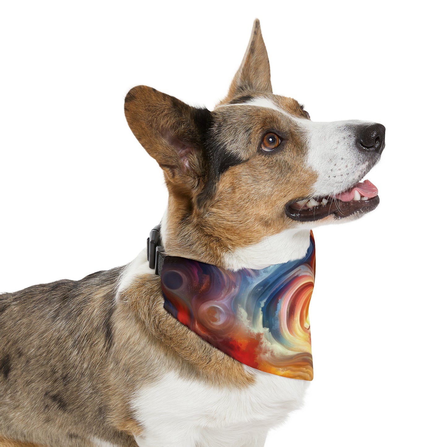 Unified Heart Journey Pet Bandana Collar