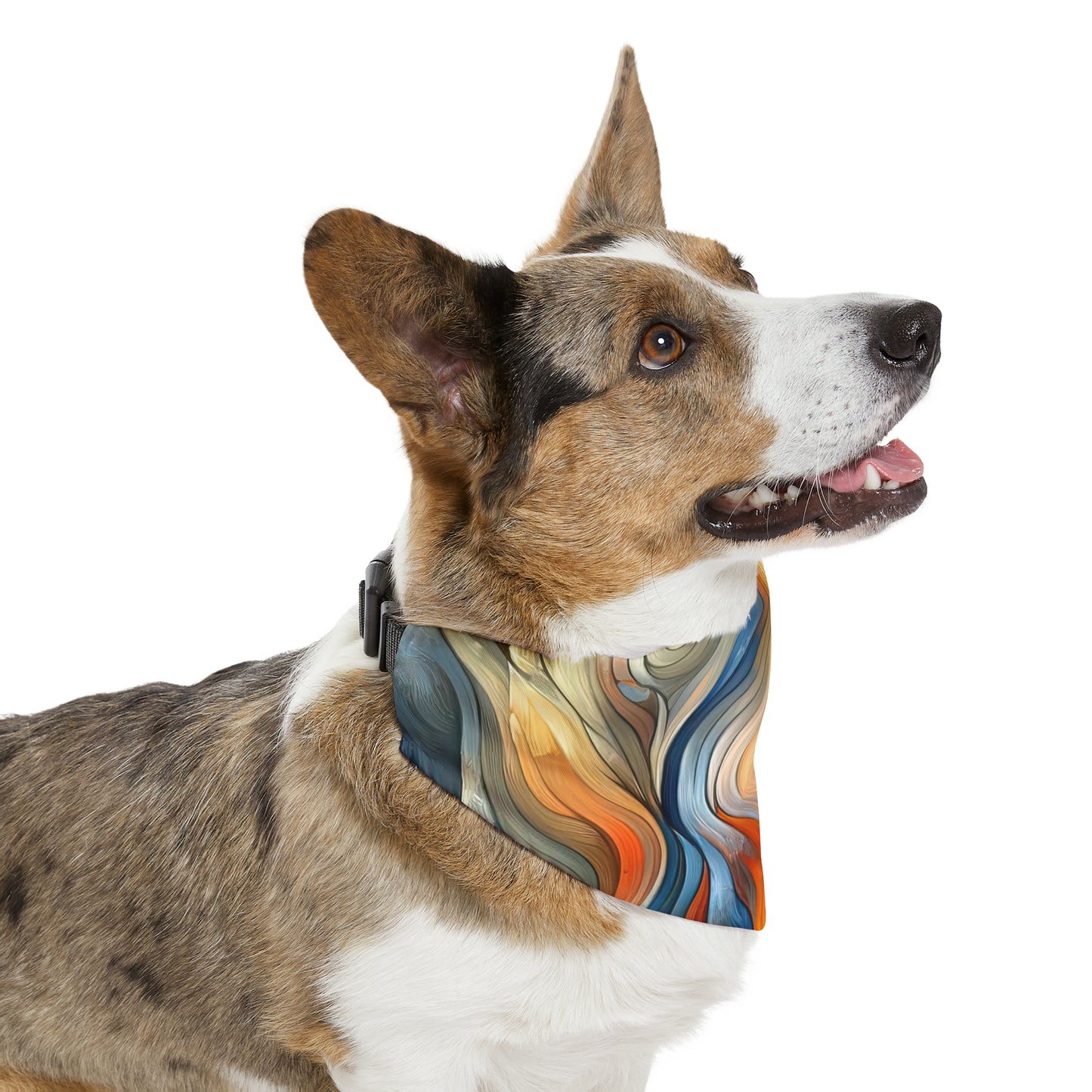 Self Embrace Benevolence Pet Bandana Collar