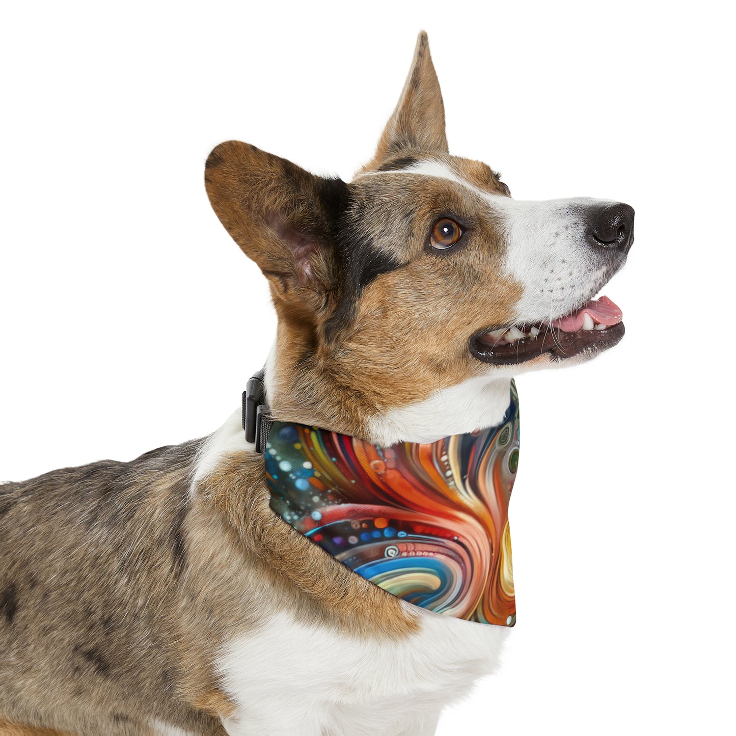 Dynamic Unity Tapestry Pet Bandana Collar