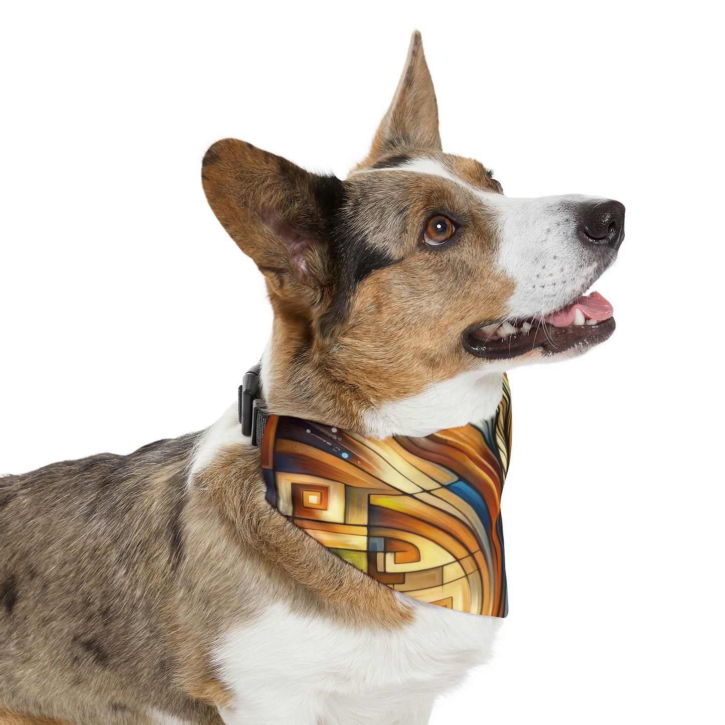 Spiritual Tachism Connection Pet Bandana Collar