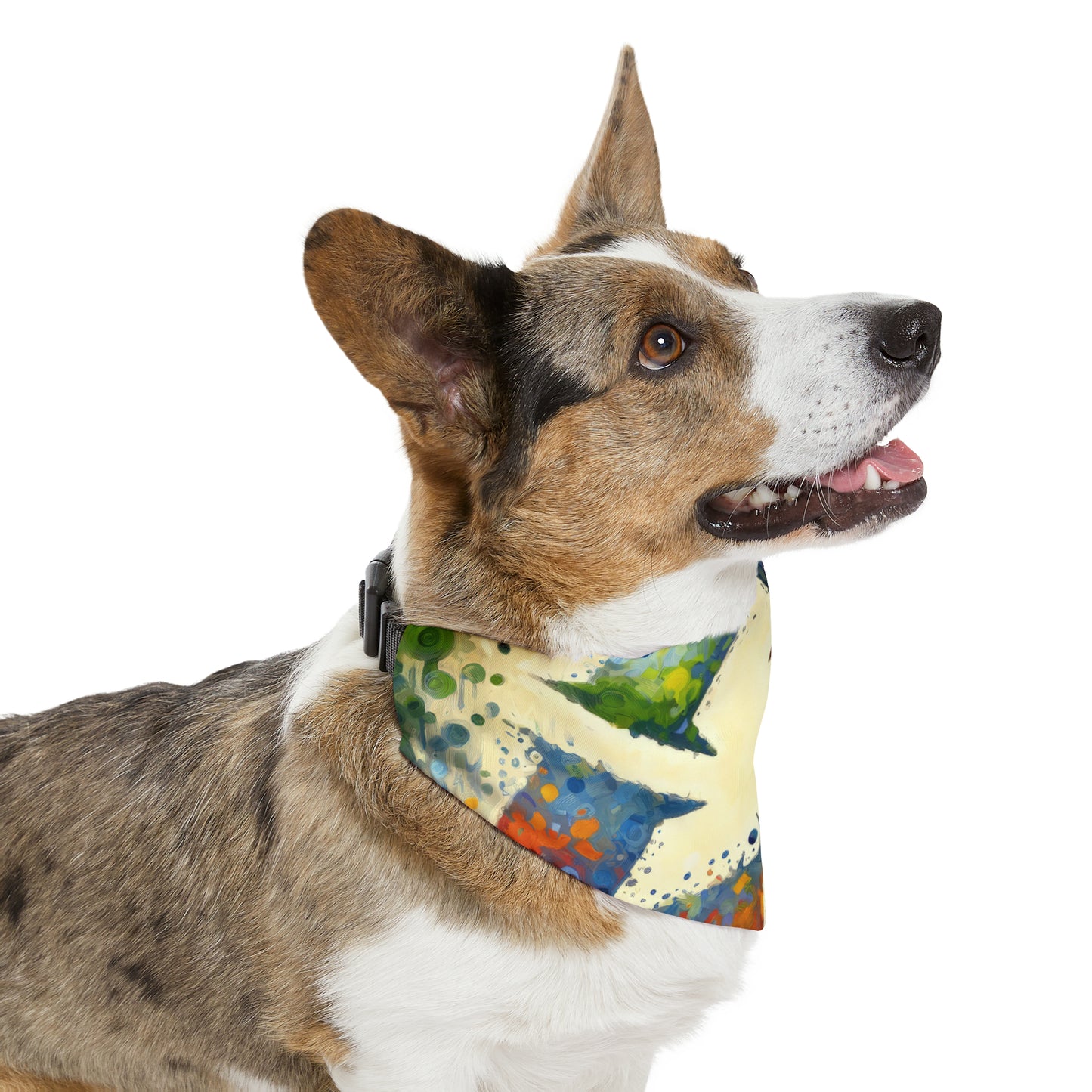 Sustainable Transformation Tachism Pet Bandana Collar