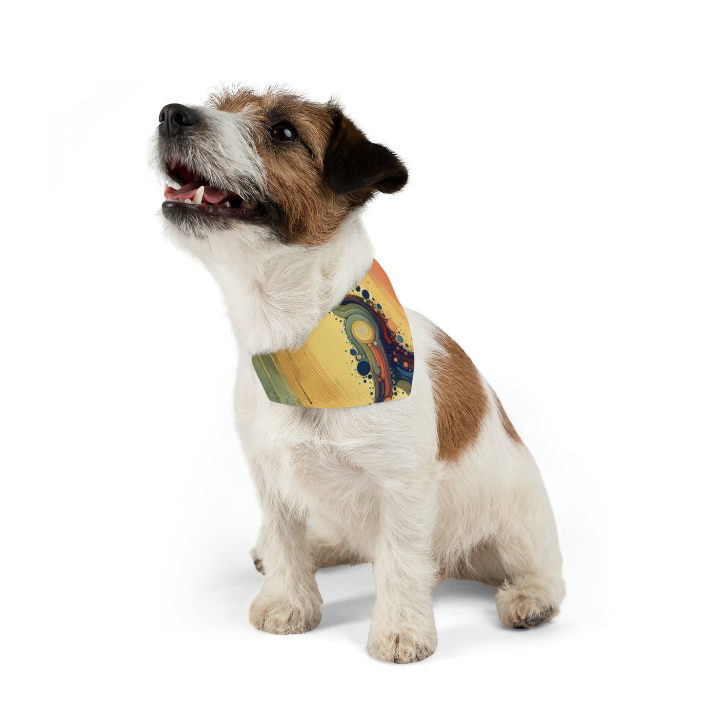 Patience Essence Tachism Pet Bandana Collar