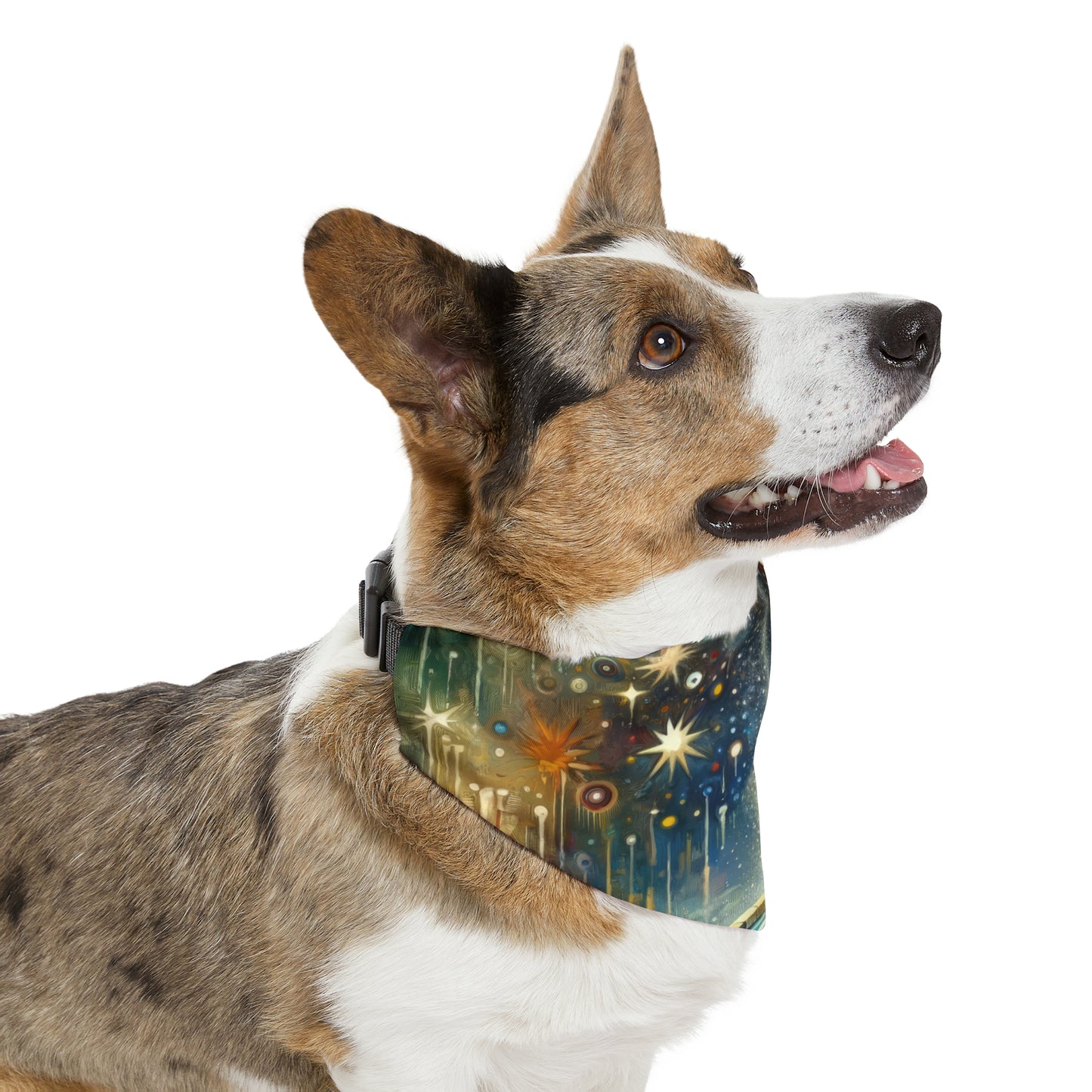 Inspiration Tachism Tribute Pet Bandana Collar