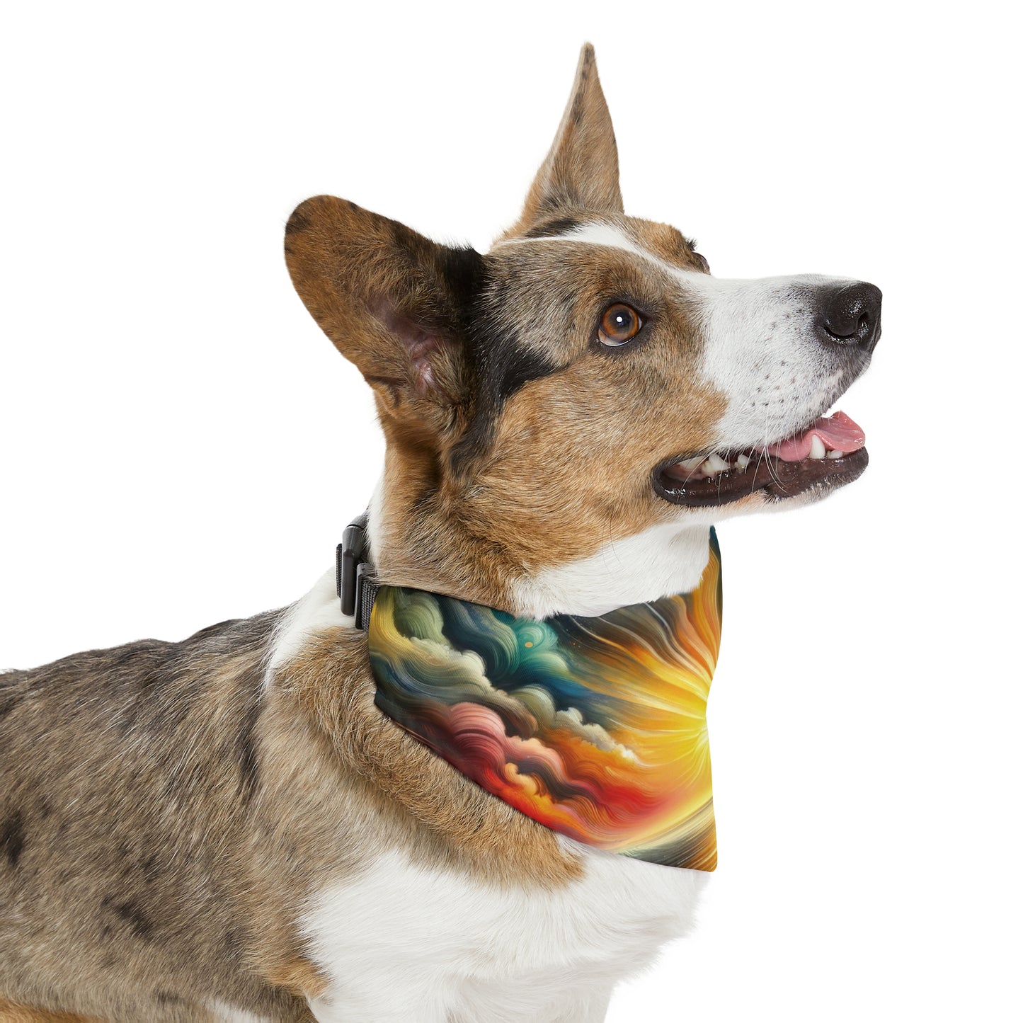 Dawn New Consciousness Pet Bandana Collar