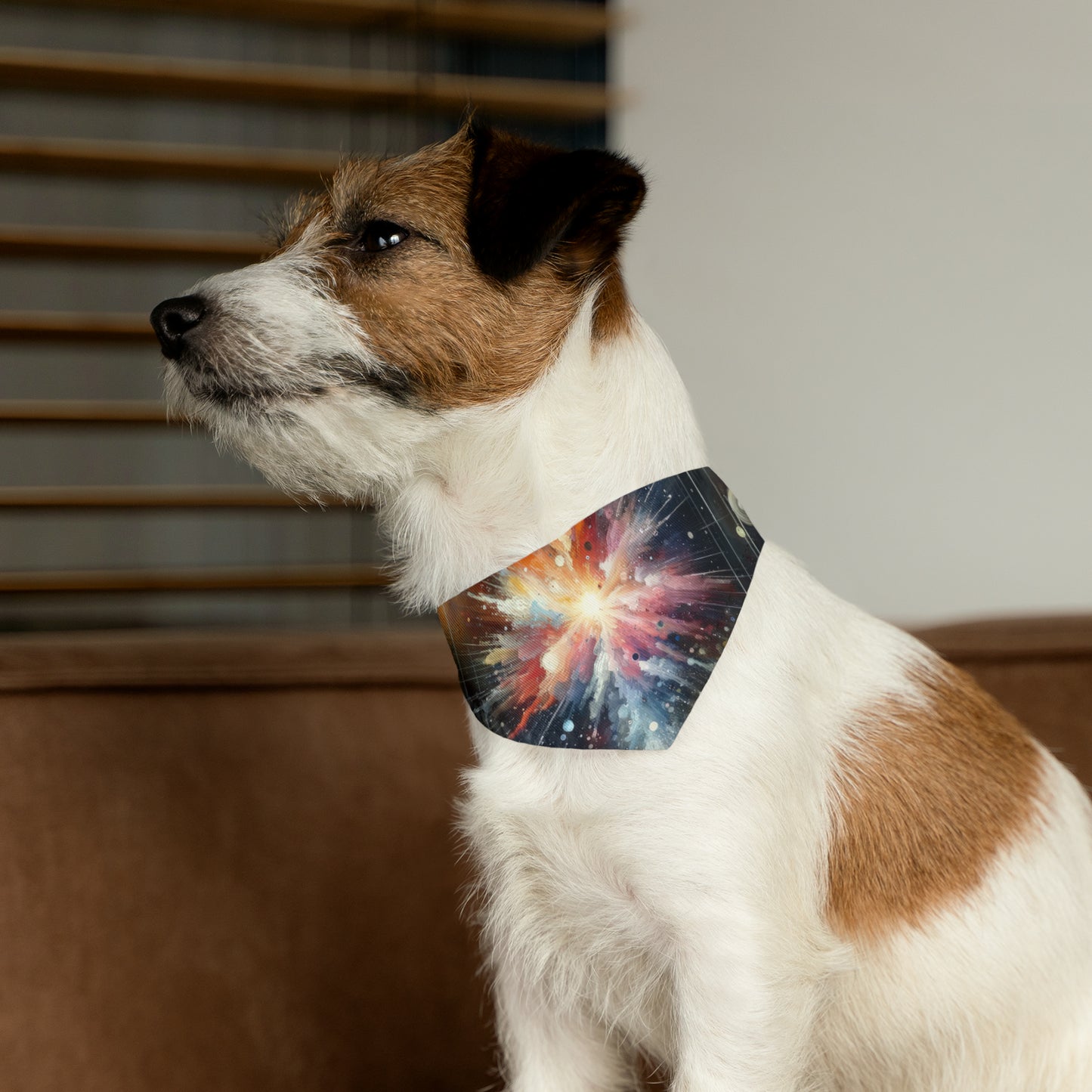 Galactic Mind Clarity Pet Bandana Collar