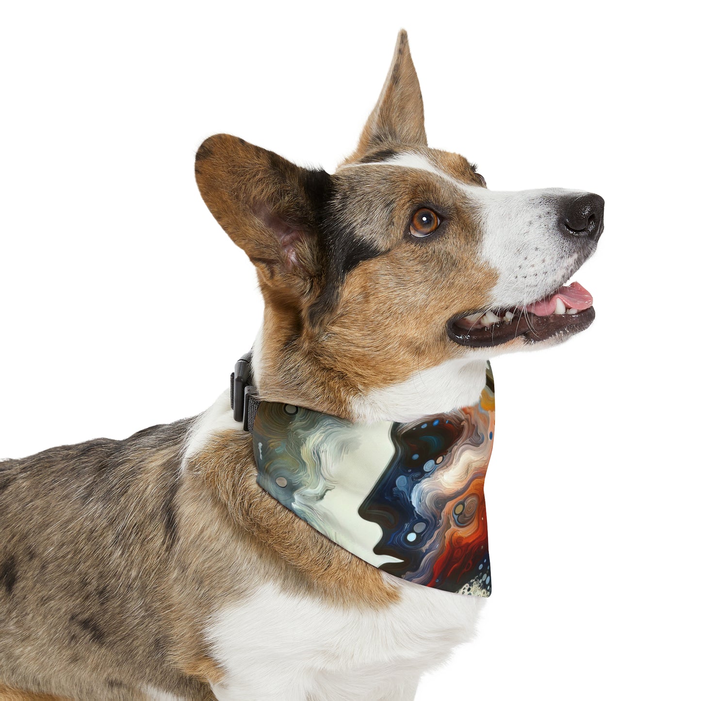 Self Awareness Alchemy Pet Bandana Collar