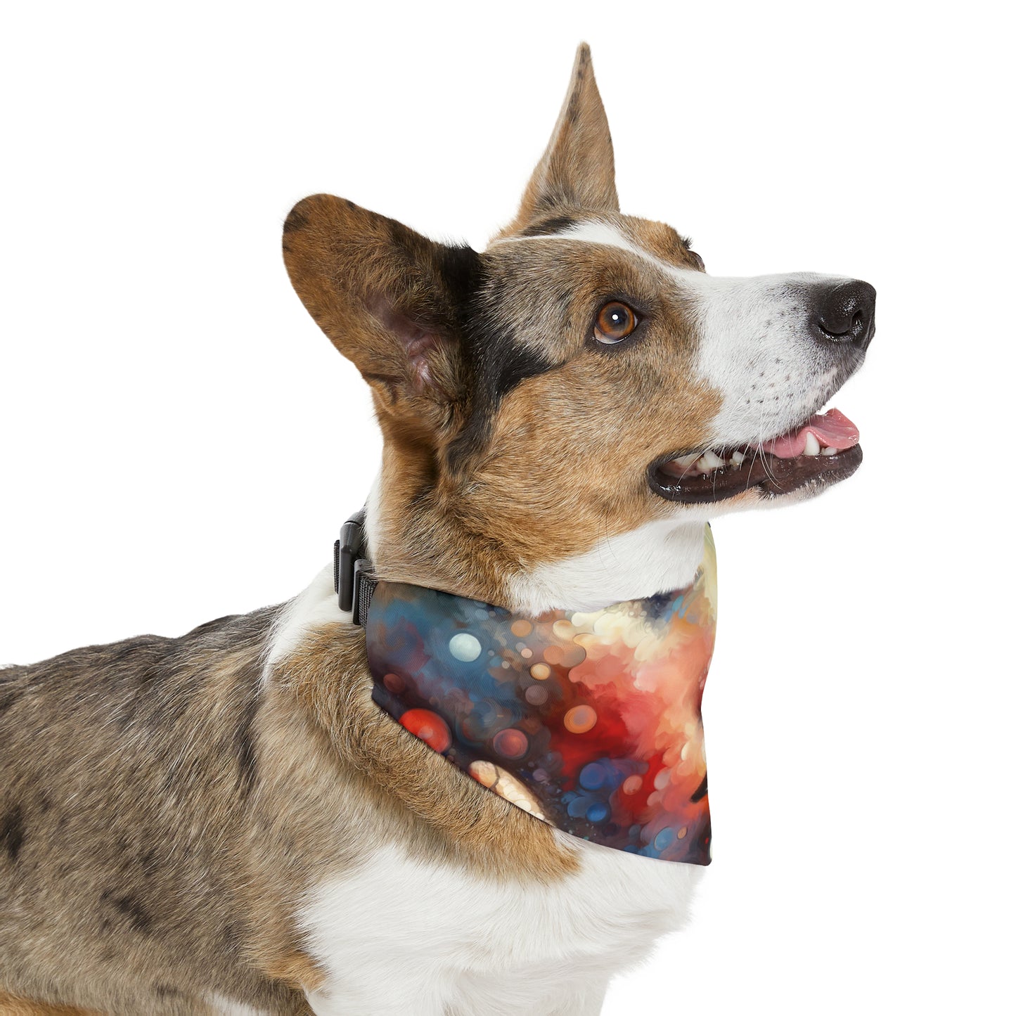 Dialogue Trust Tachism Pet Bandana Collar