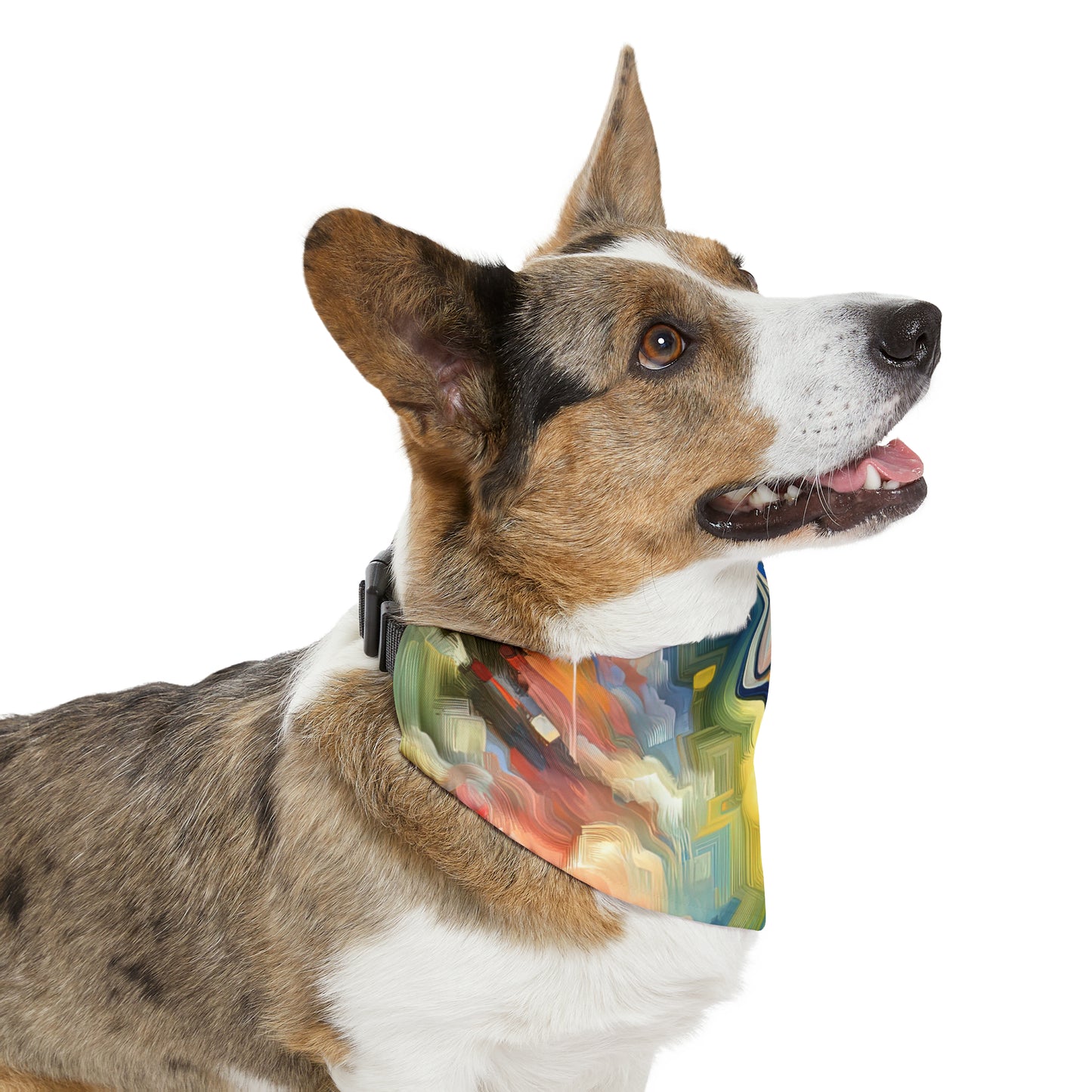 Emotional Perception Abstract Pet Bandana Collar