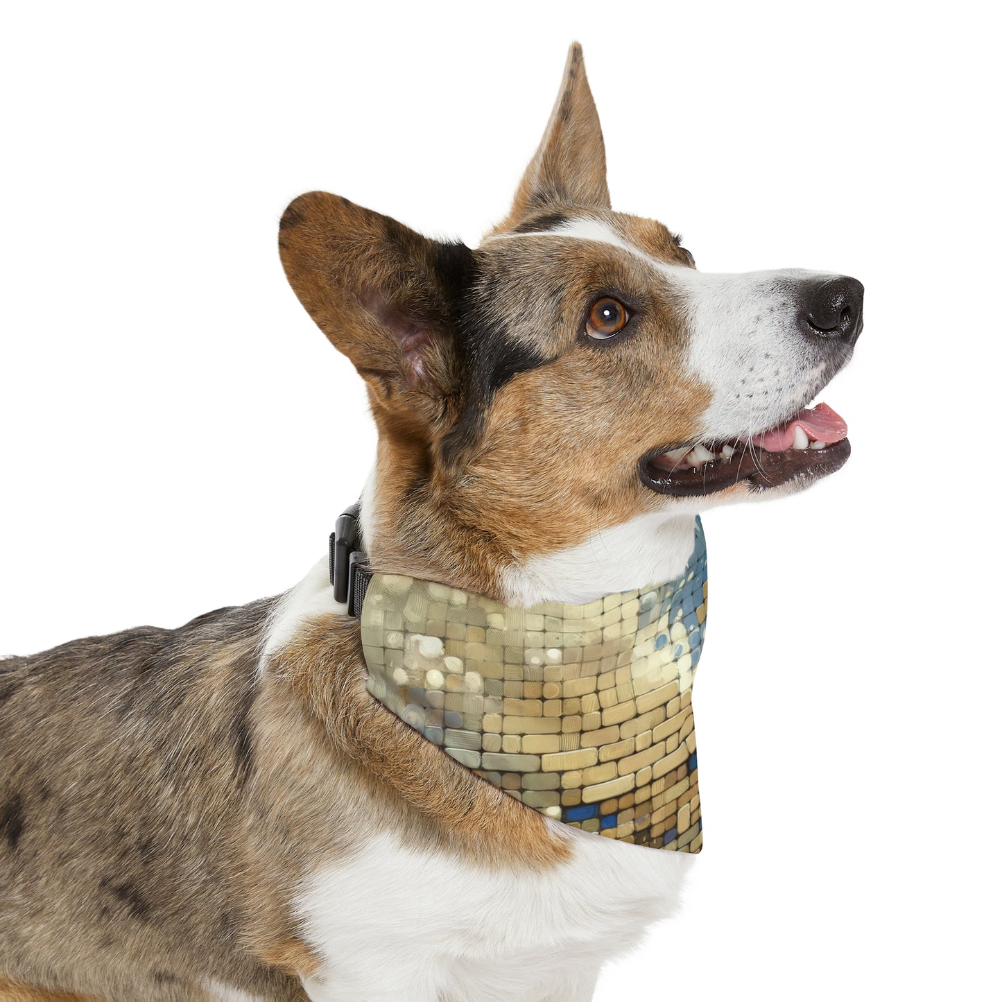 Change Tachism Everyday Pet Bandana Collar