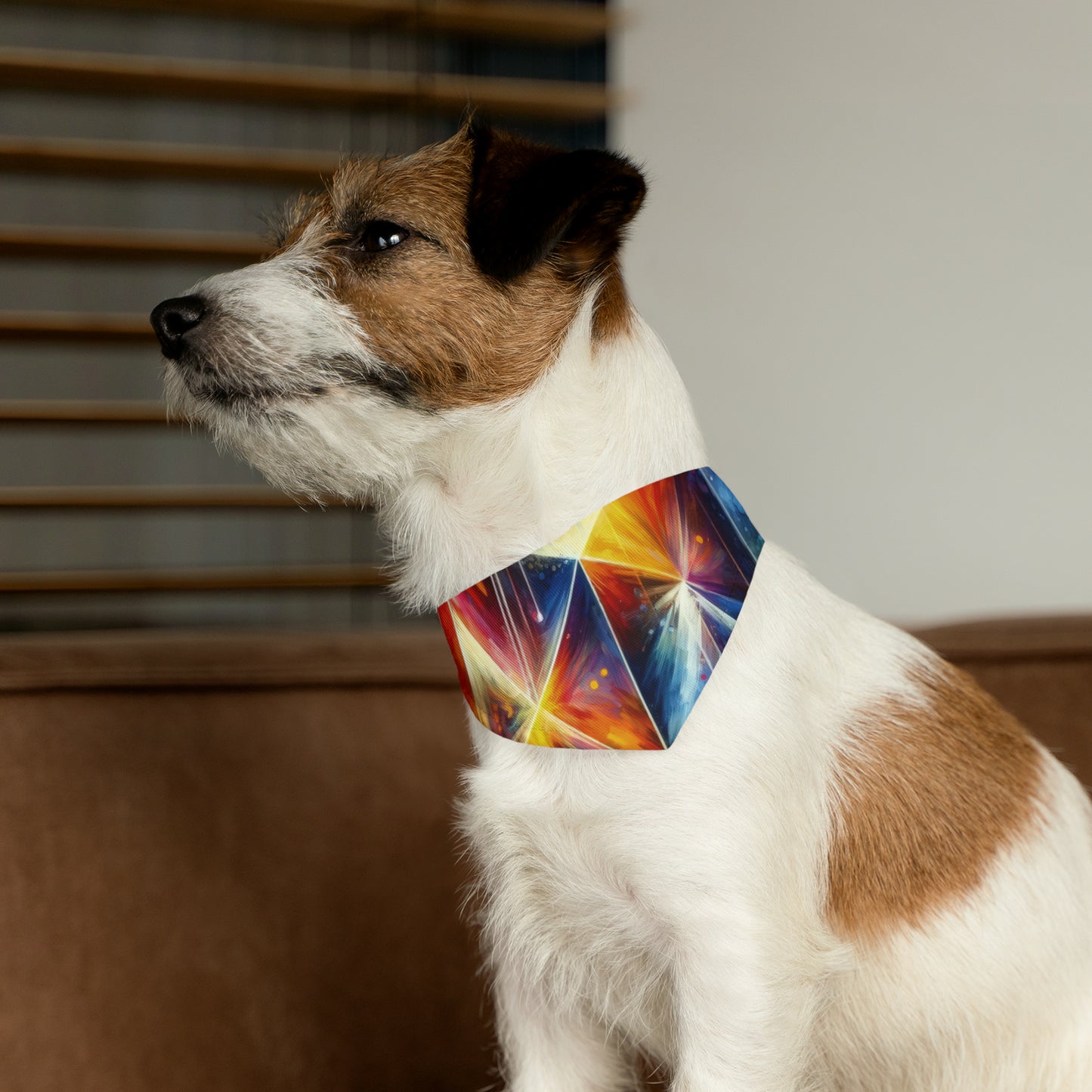 Prismatic Light Spectrum Pet Bandana Collar