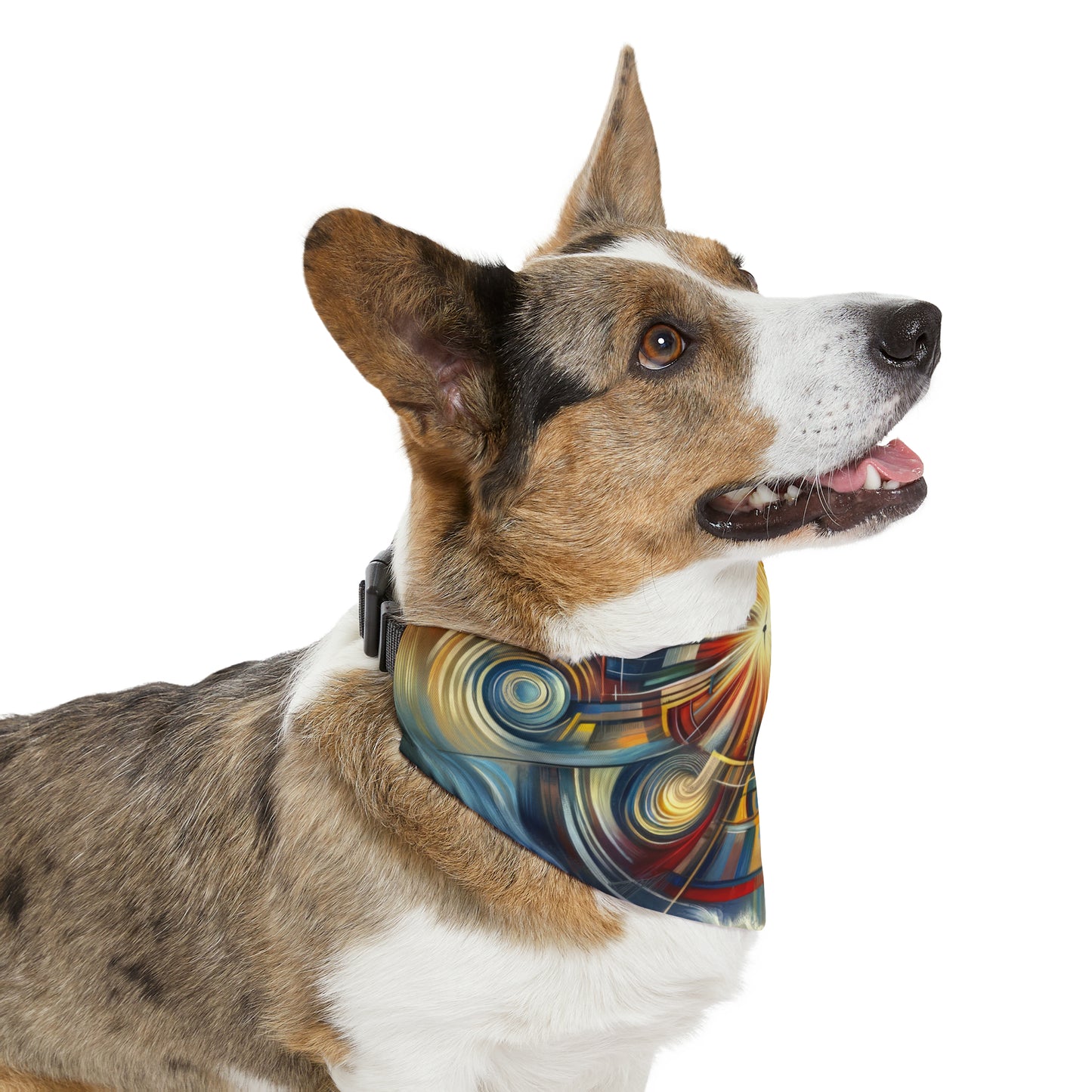 Declaration Movement Transformation Pet Bandana Collar