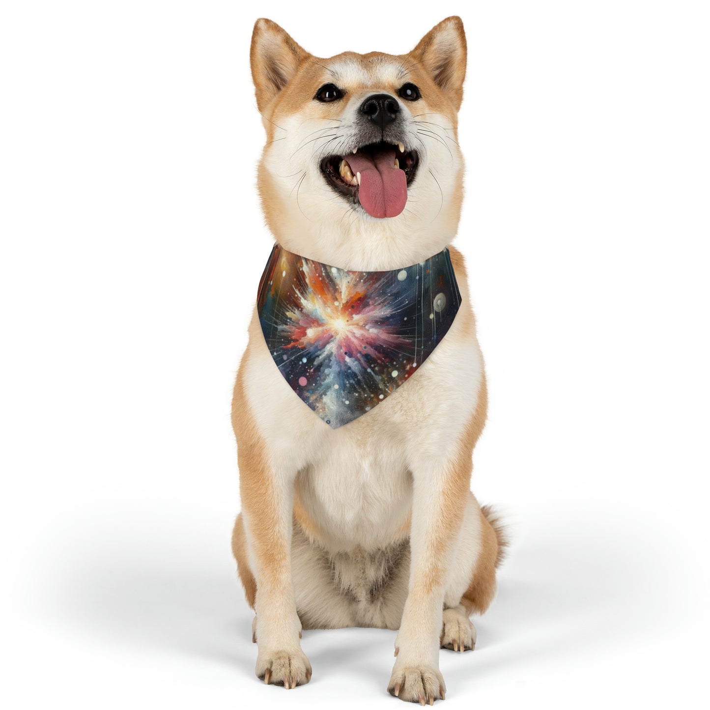 Galactic Mind Clarity Pet Bandana Collar