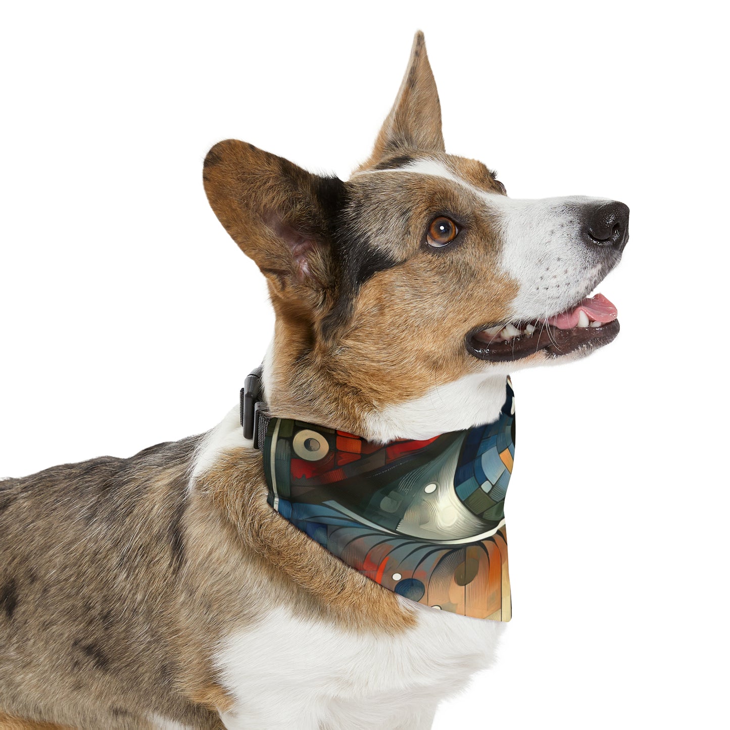 Focused Vision Quest Pet Bandana Collar