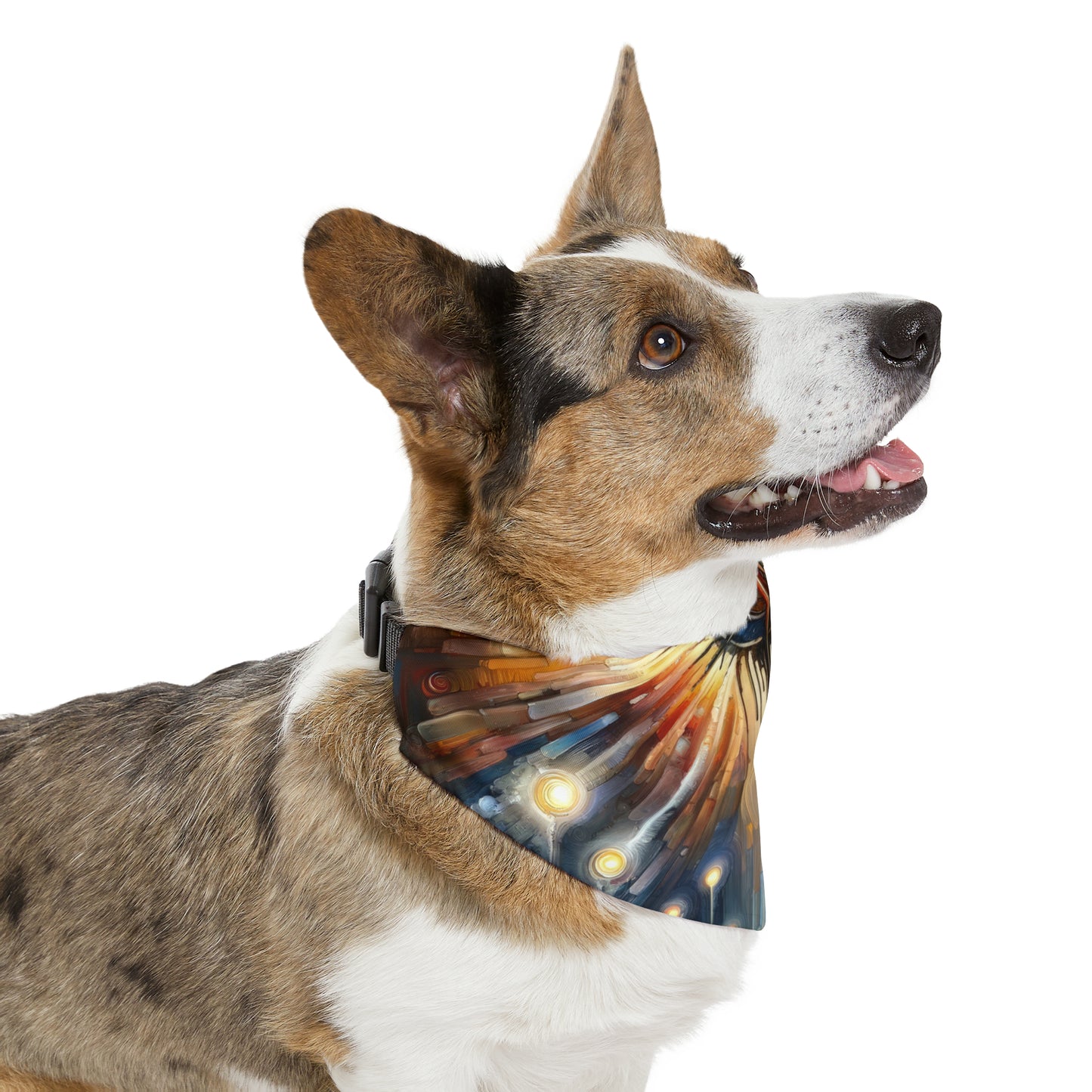 Wisdom Compass Journey Pet Bandana Collar